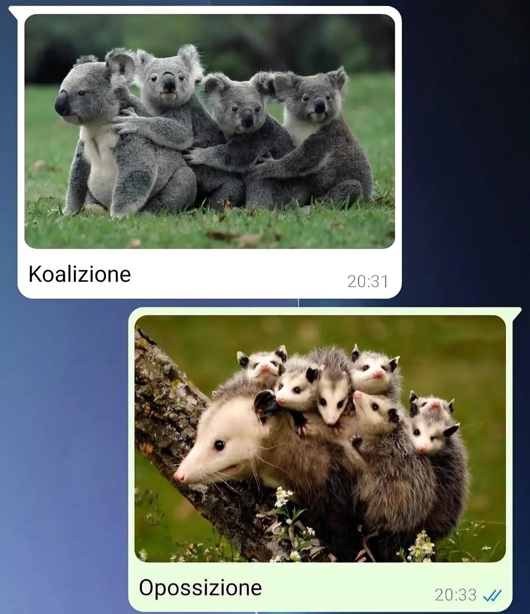 @Enzo enzuccio90