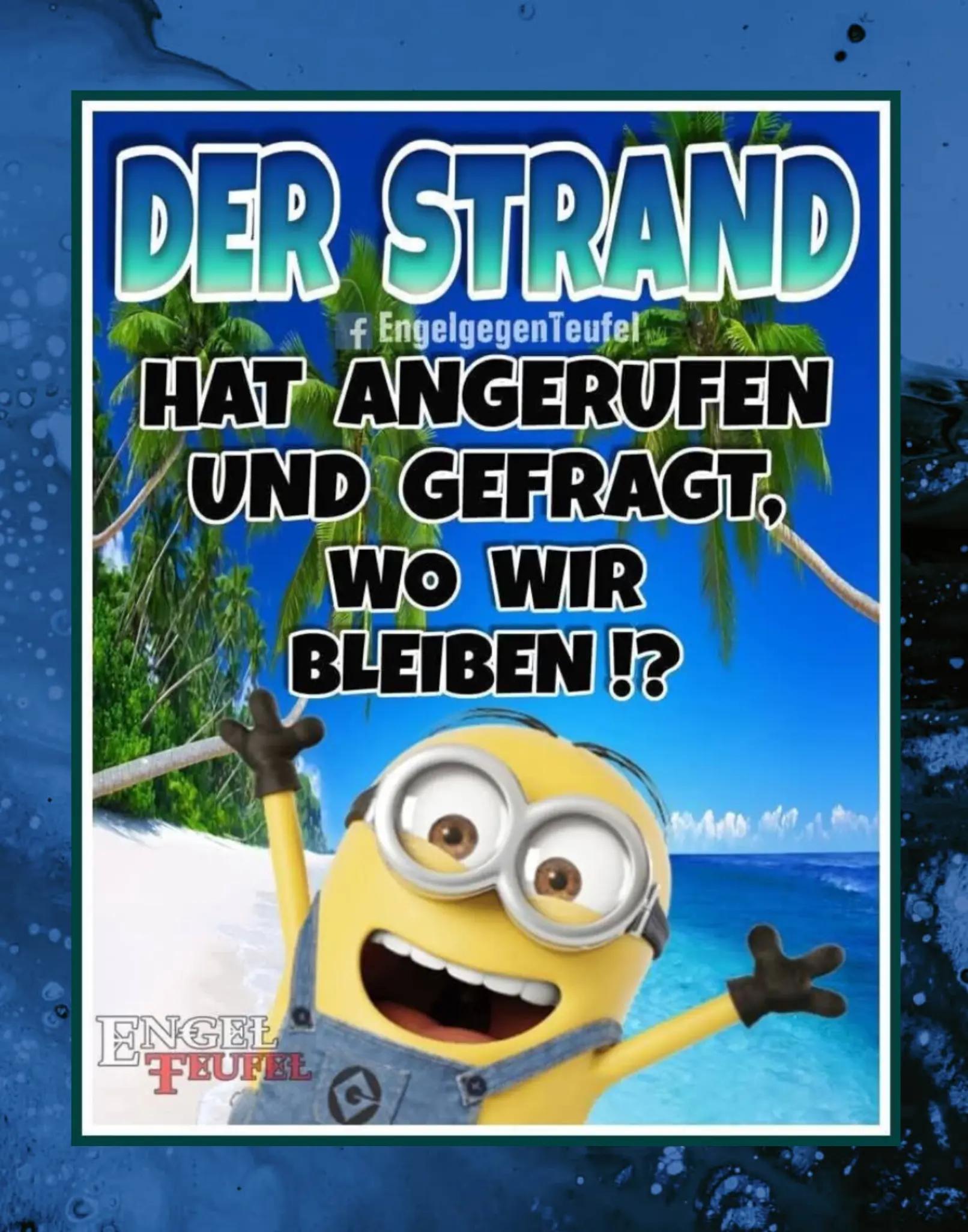 @DerMarder