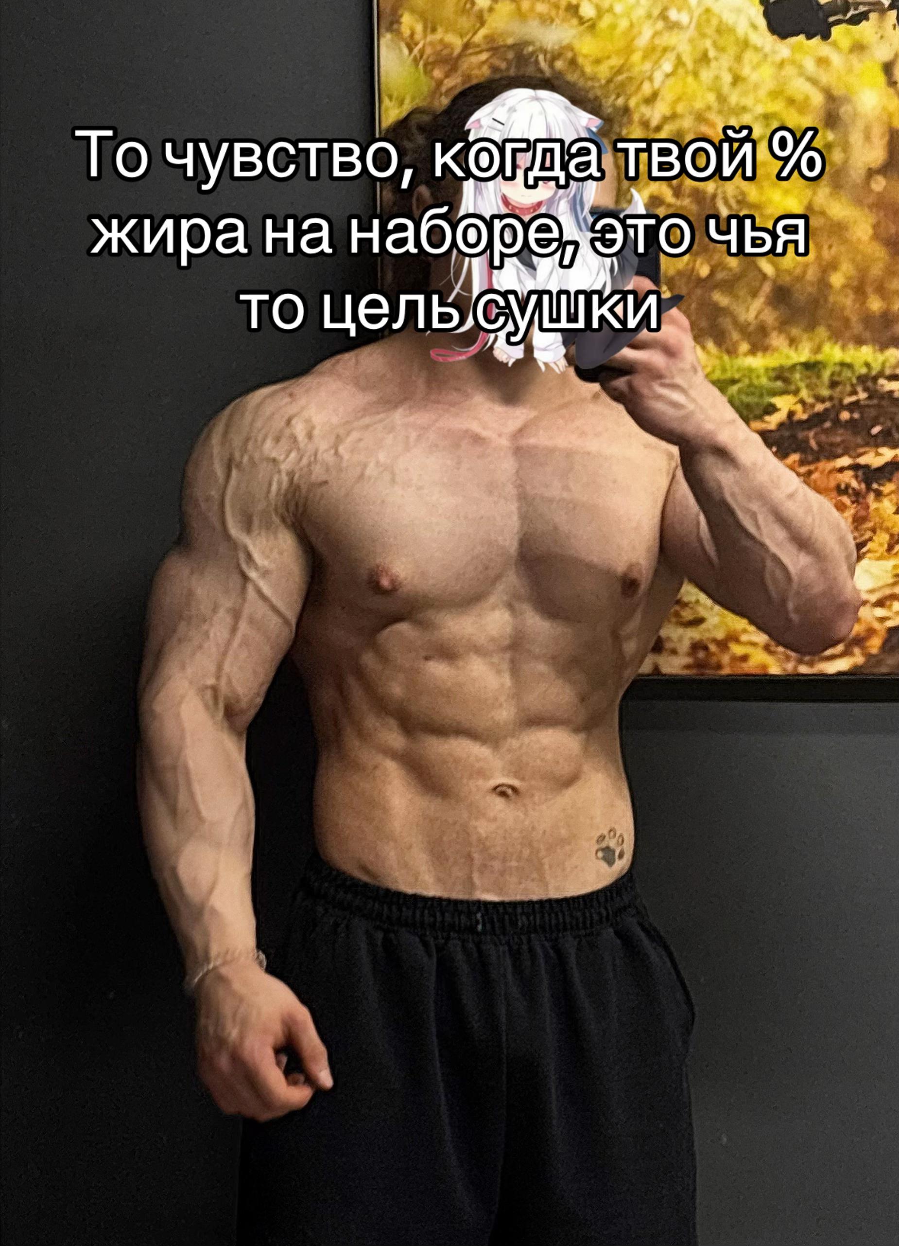 @ТГК: Любитель Котиков