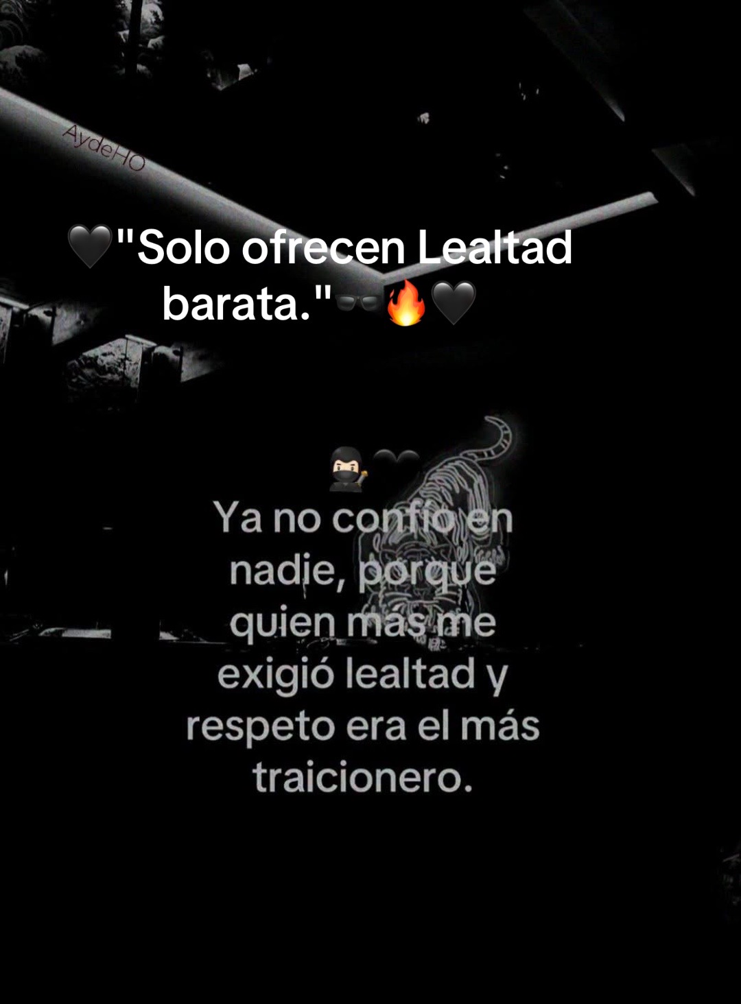 @sandyrico51