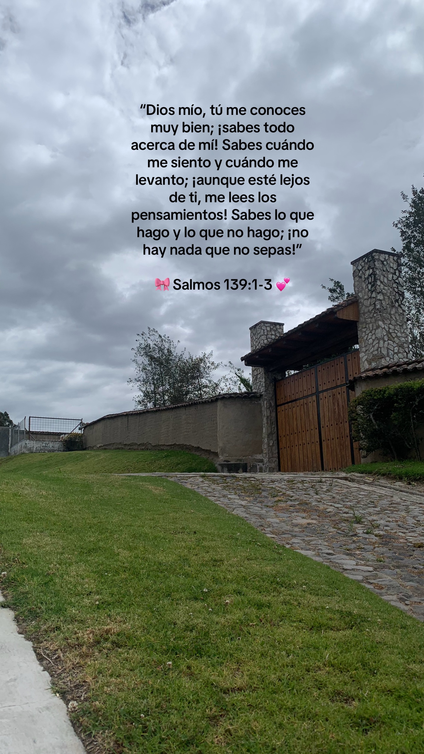 @𝓔𝓿𝓮𝓵𝔂𝓷🌷