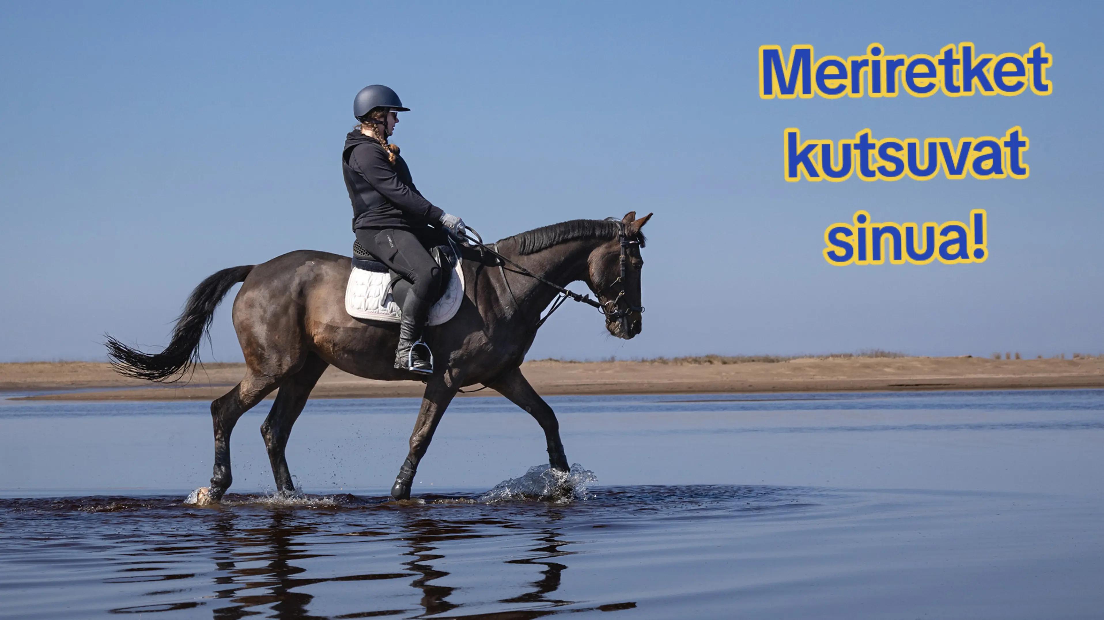 @Beach Horse Stable