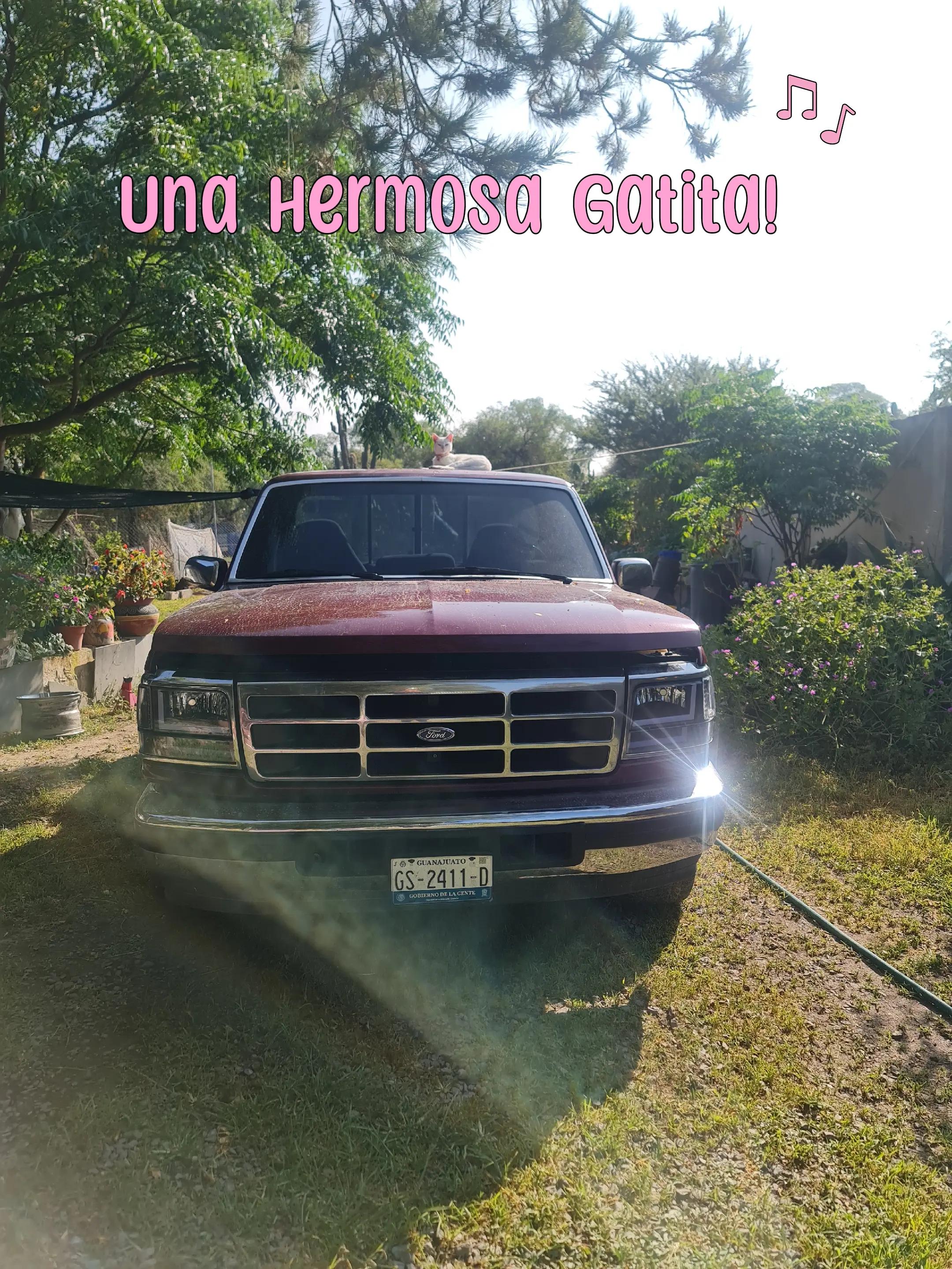 @Cony Aguilar