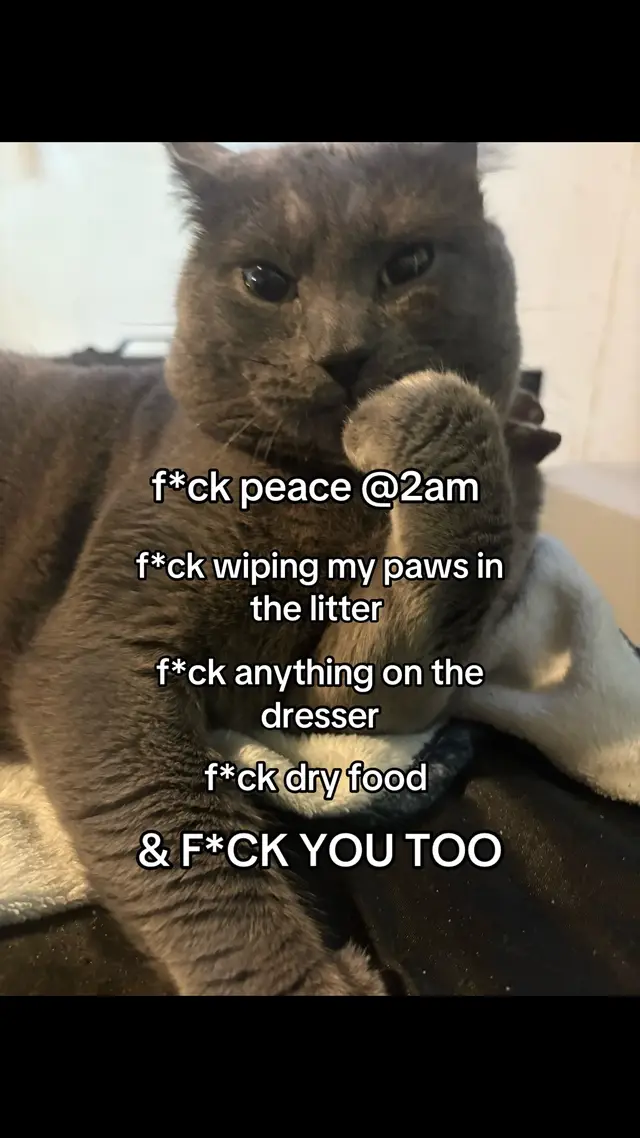 @theedonherselfff