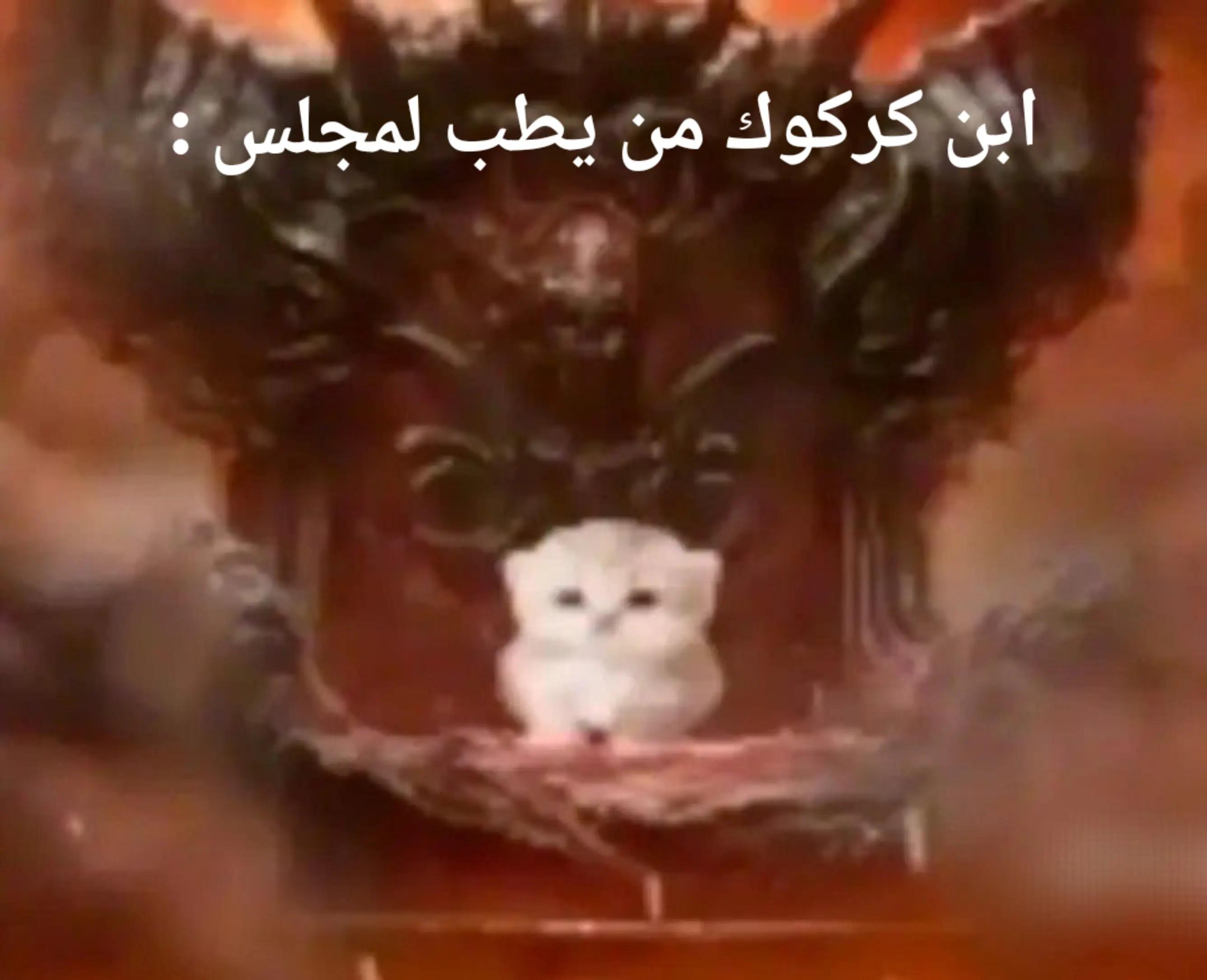 @عىر بكركوك