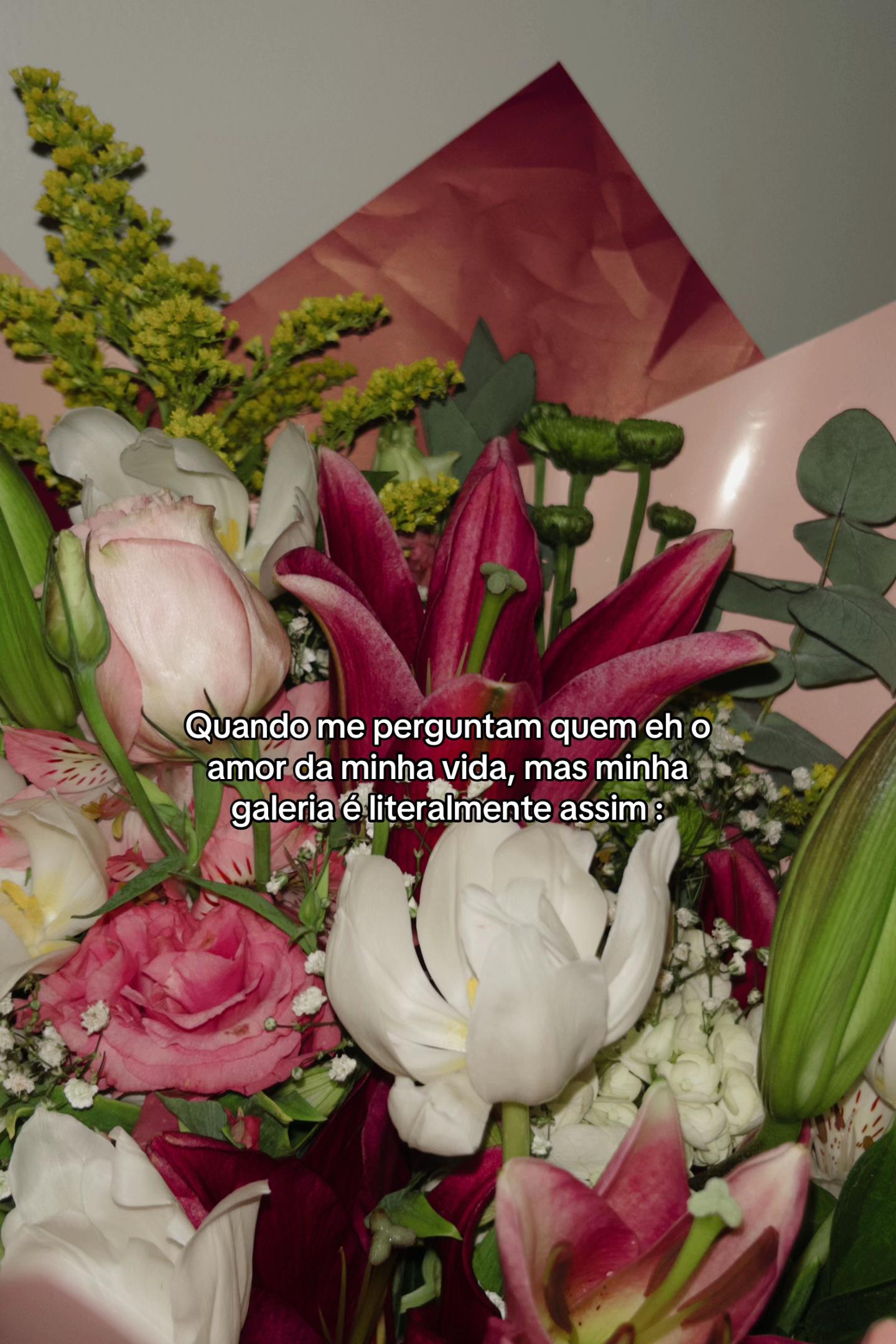@camilao