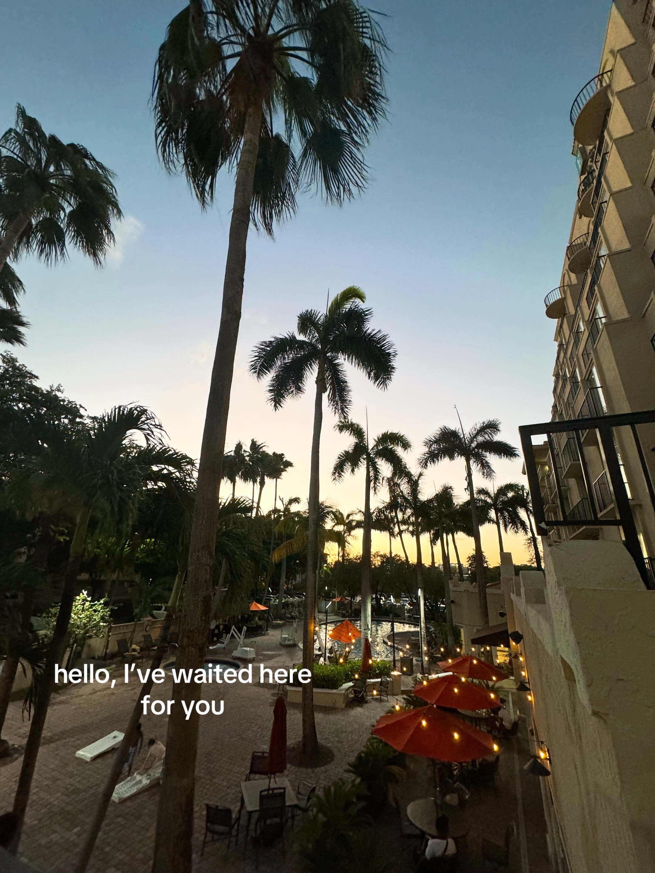 @𝑘𝑦𝑜𝑘𝑖𝑖╰ 🚏・ﾟ
