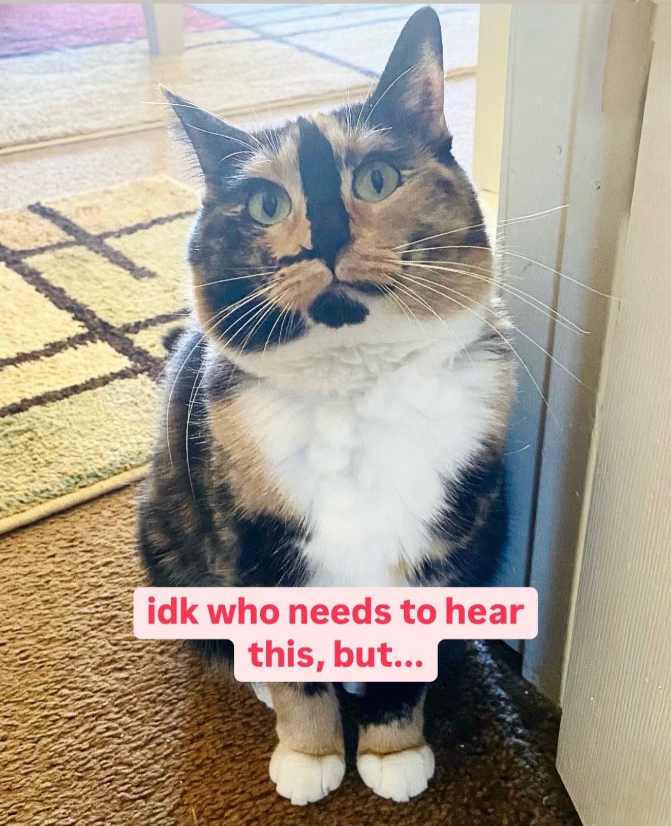 @SnickersTheSmilingCat