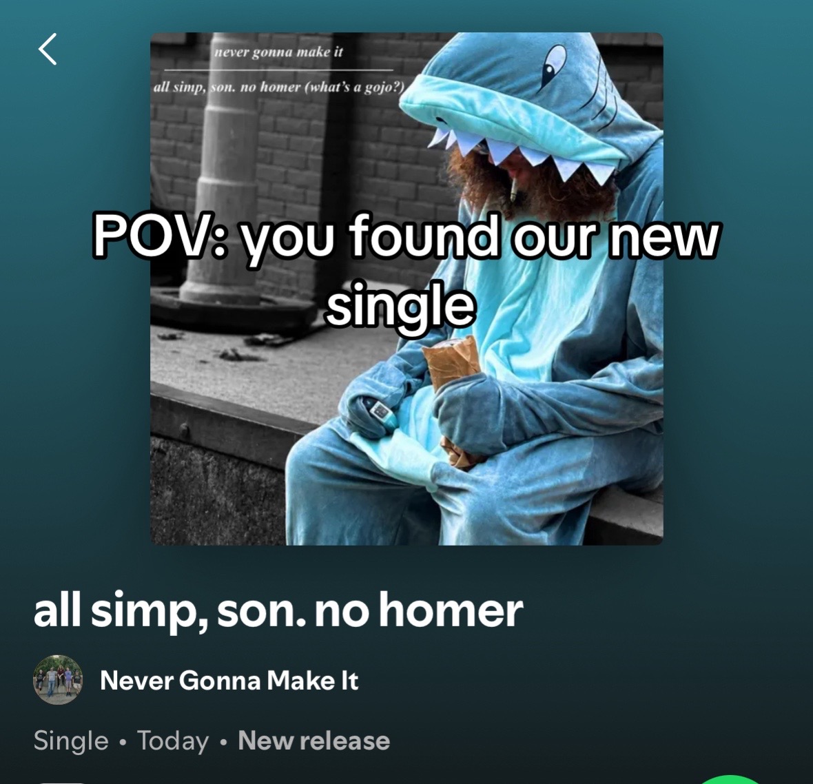 @nevergonnamakeitband
