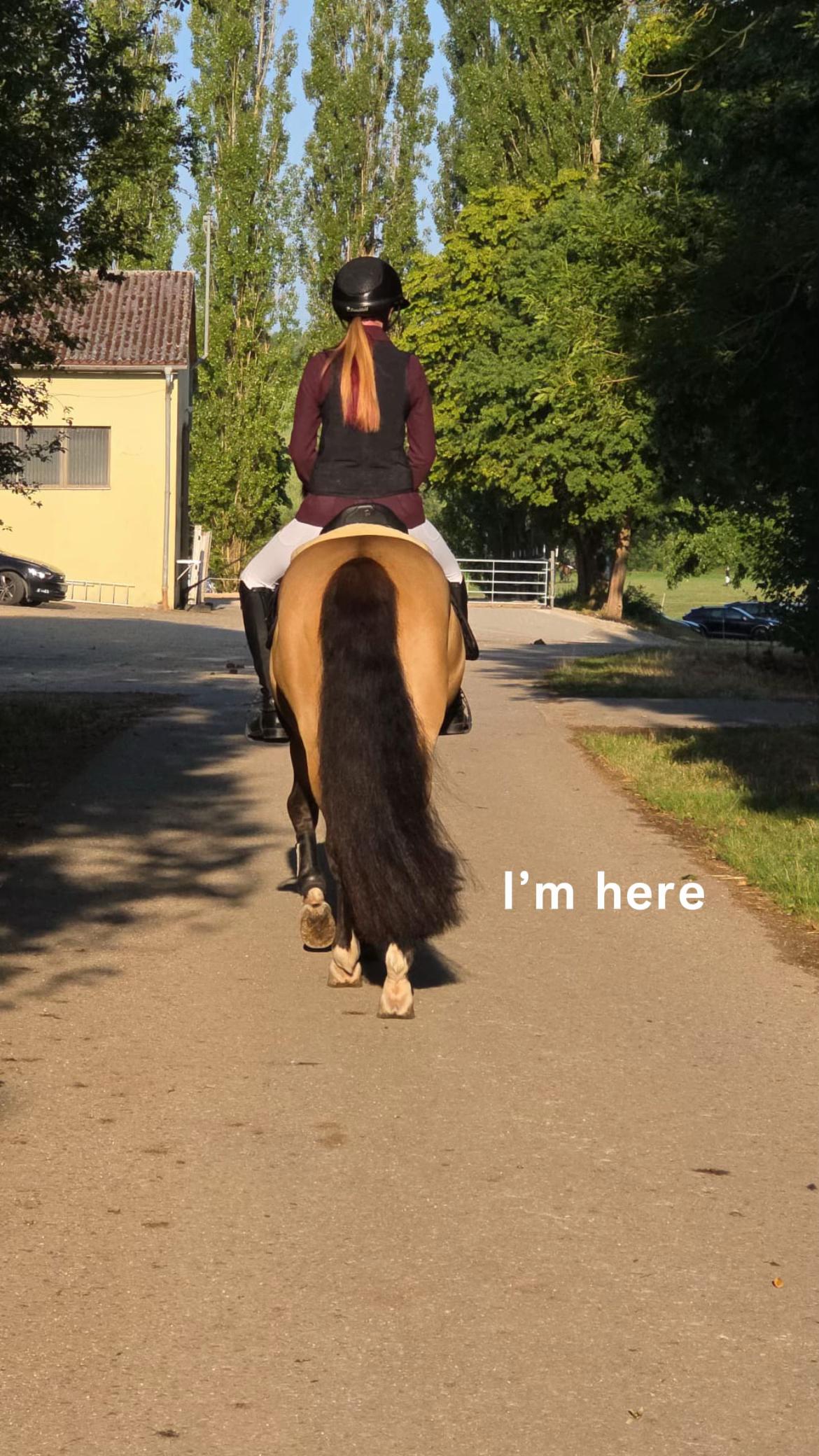 @Daily Pony‘s⚡️