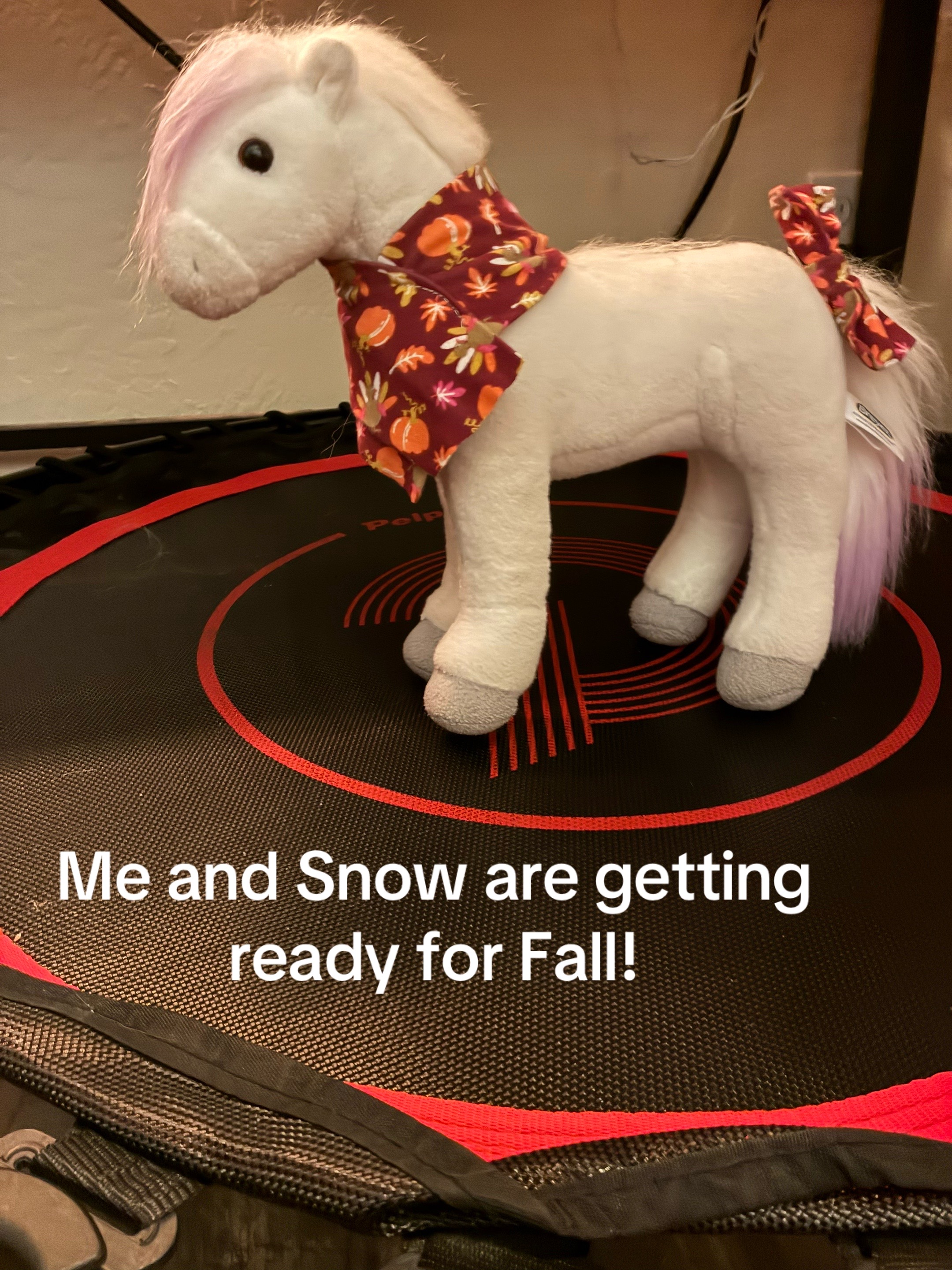 @Sagerae_adventures