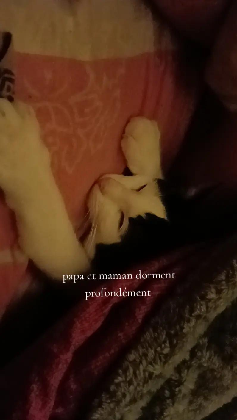 @☕❦𝕖𝓿𝒶❦❀🧸