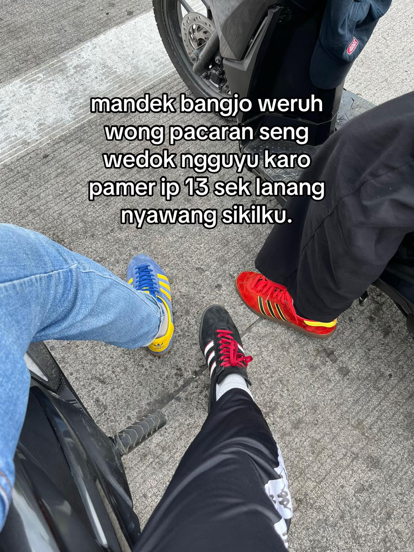 @โ๐๐.โ๐ธ๐๐๐ธ๐