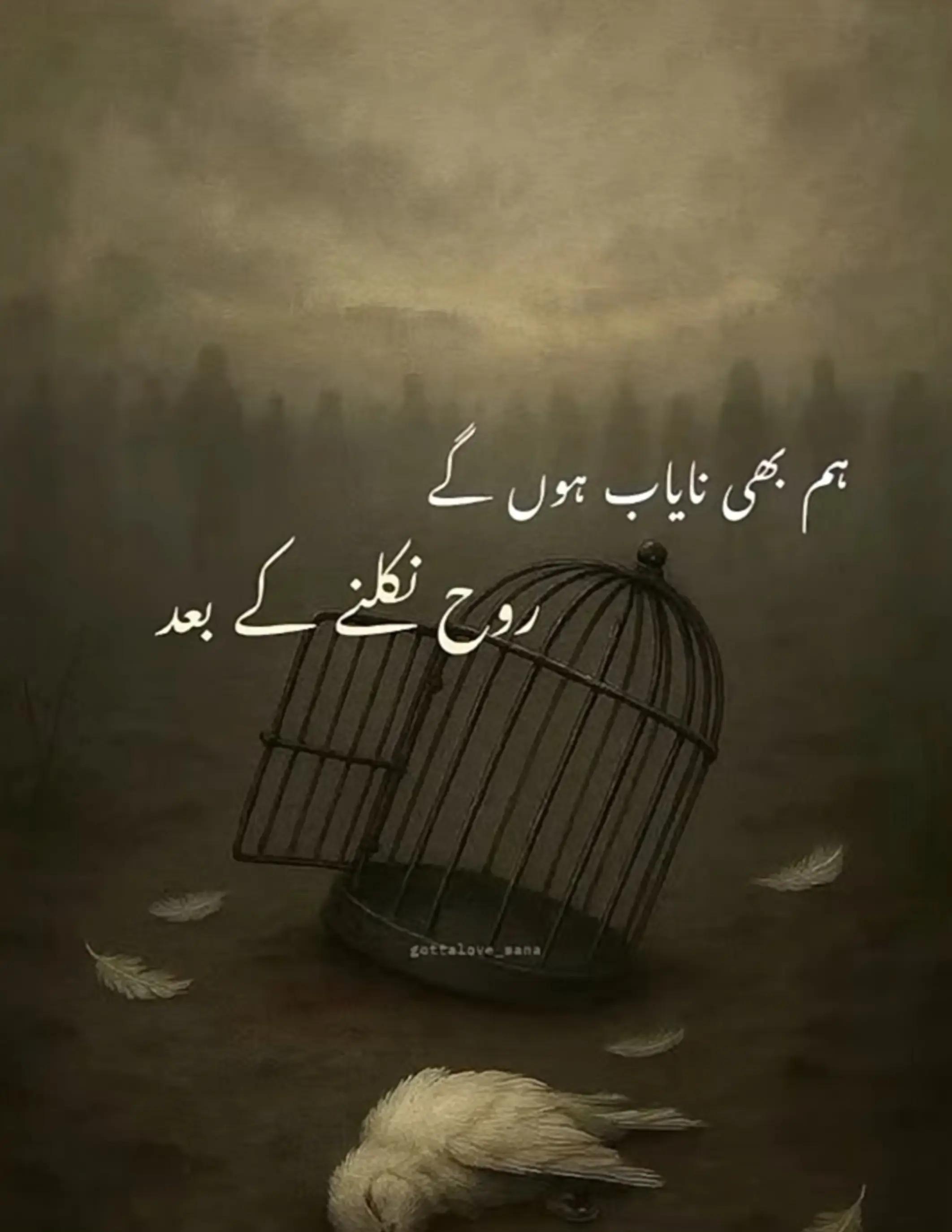 @Ambreen❤️