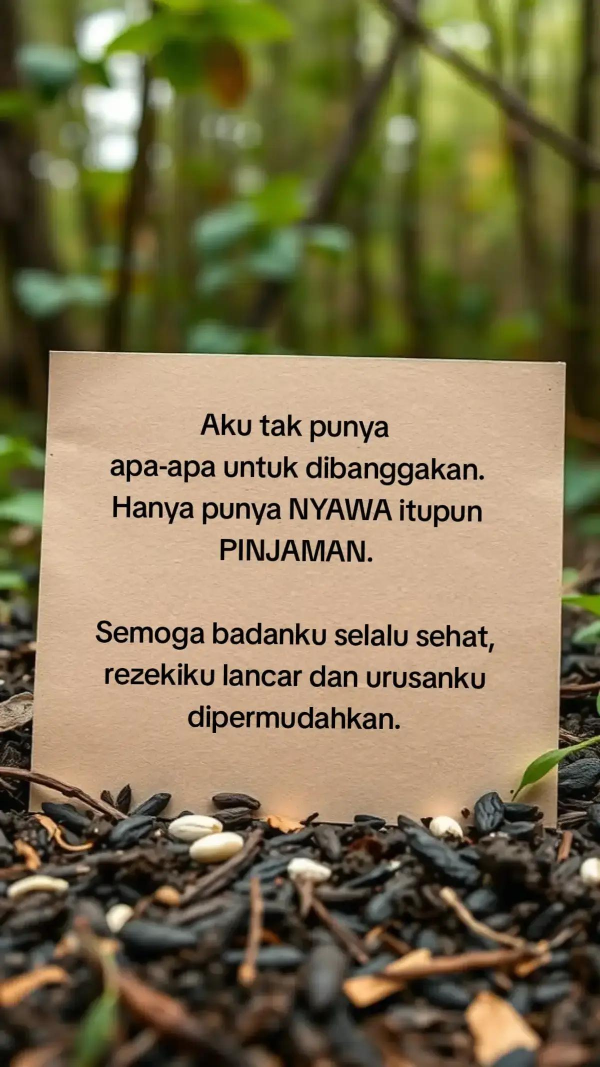 @ₐₙᵢQₑᵢₛₐ