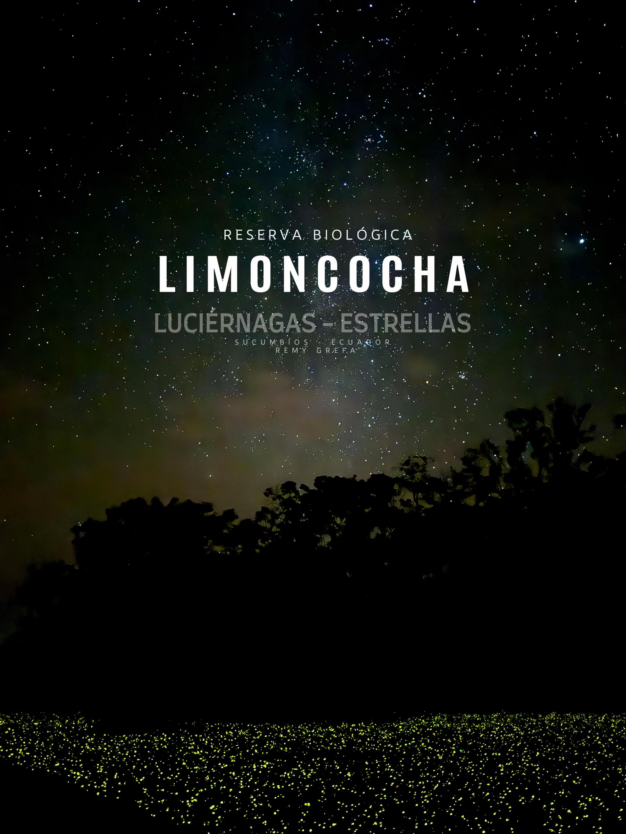 @remy.limoncocha