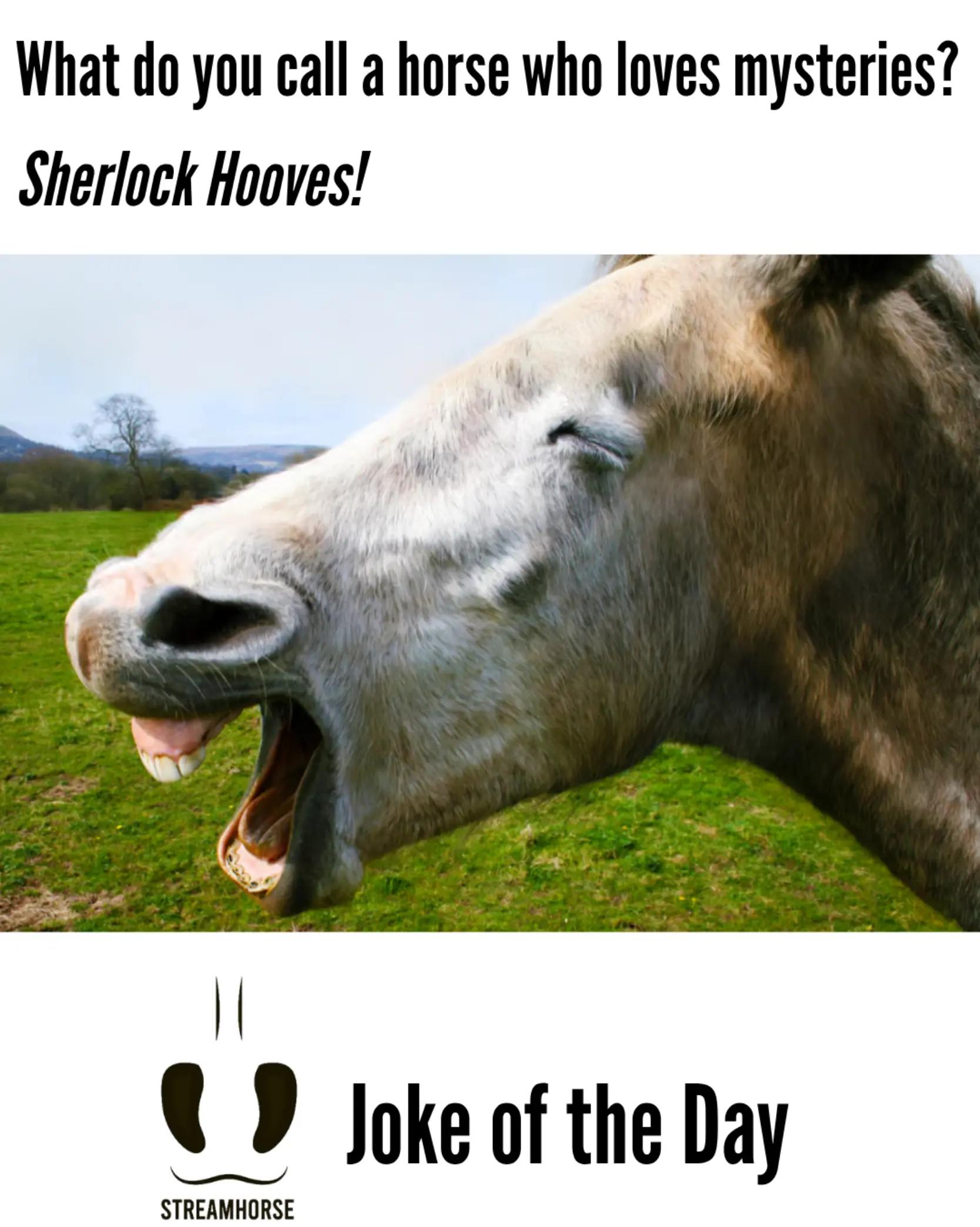 @streamhorse