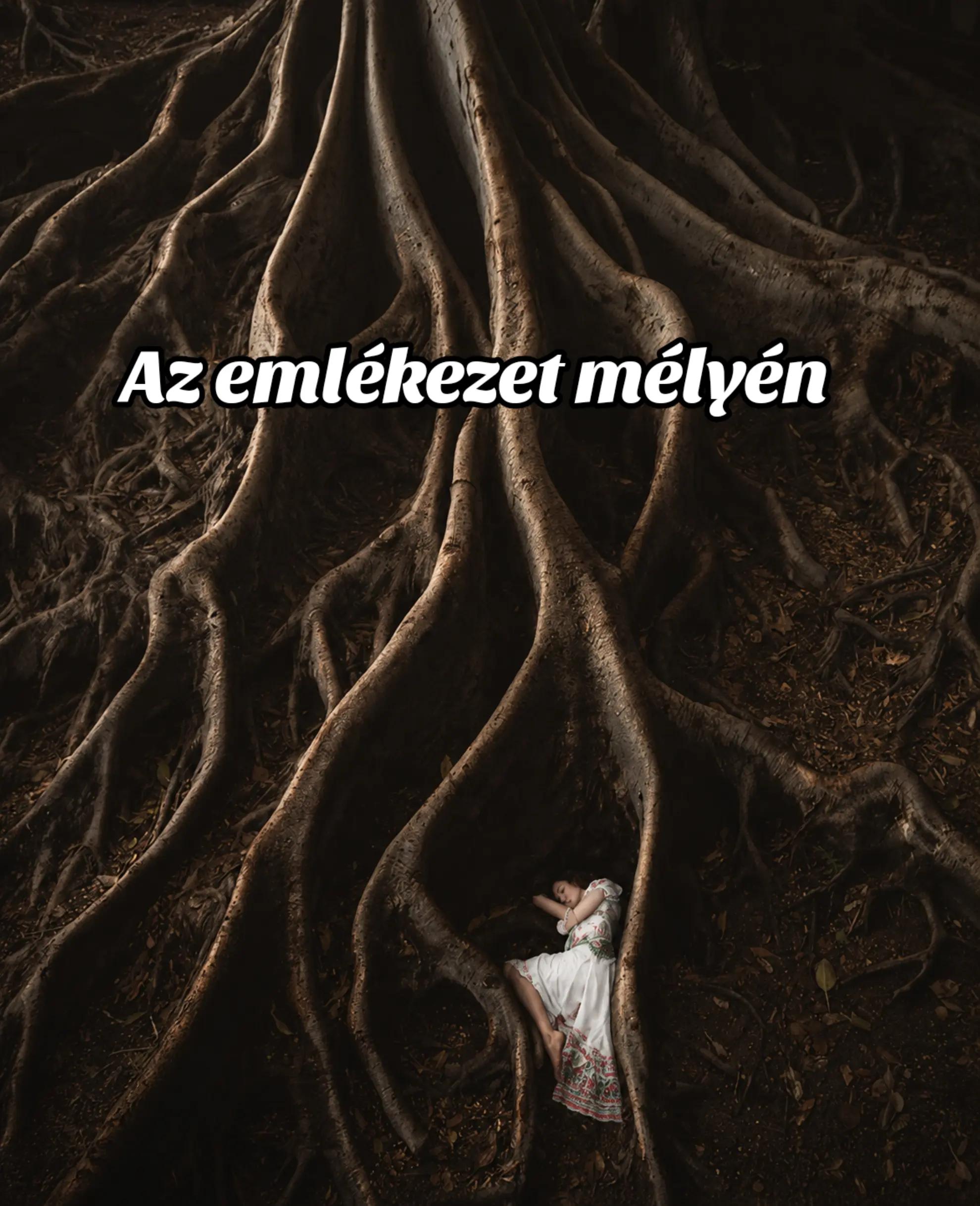 @✨𝓥𝓮𝓻𝓲𝓽𝓪 𝓓𝓸. ✨🪄