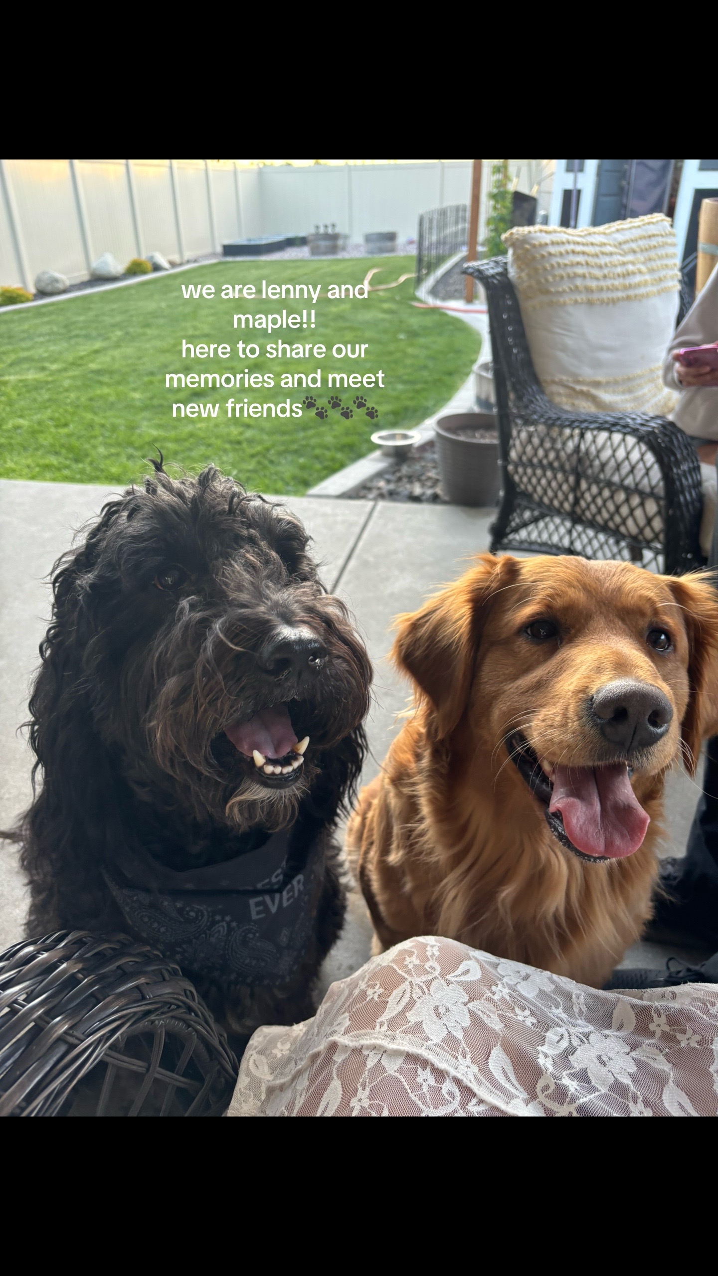@LennyAndMaple