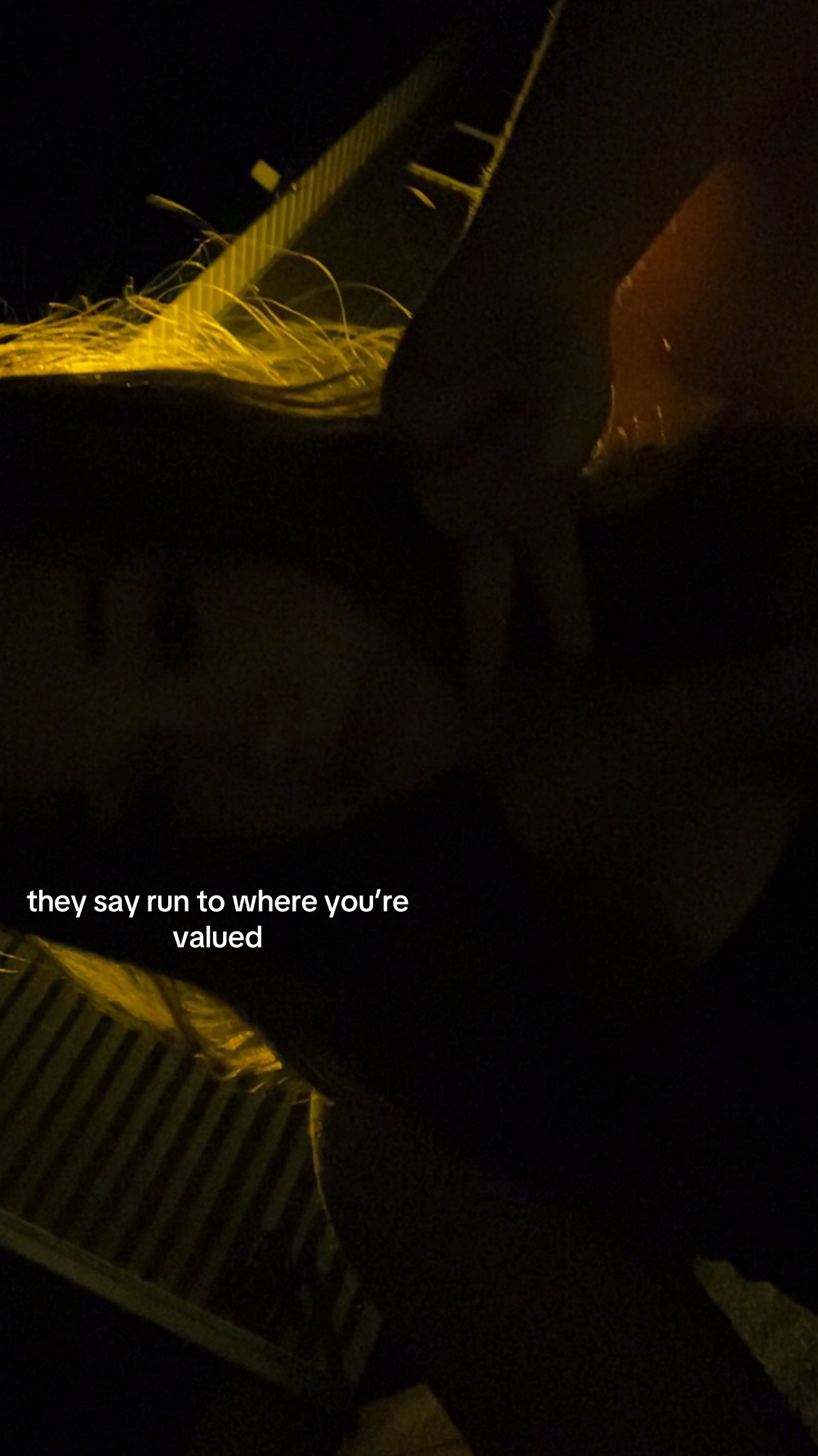 @nevaeh lynn