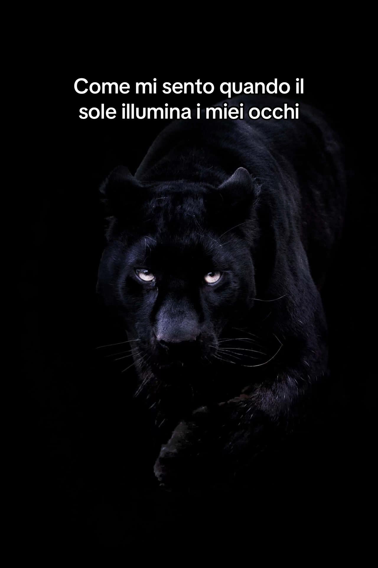 @Giuliaemme