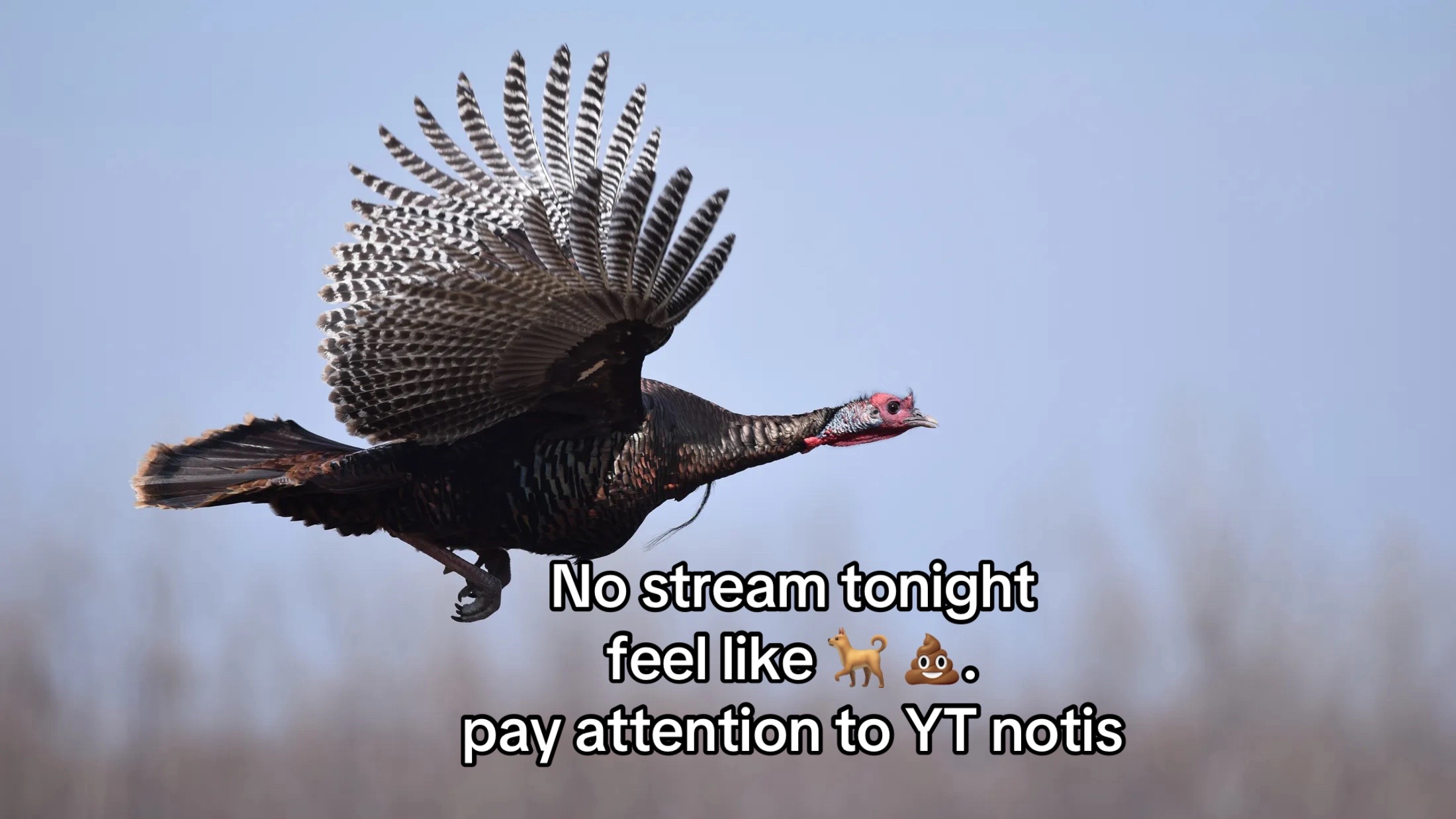 @🦌AppleJacked🐟