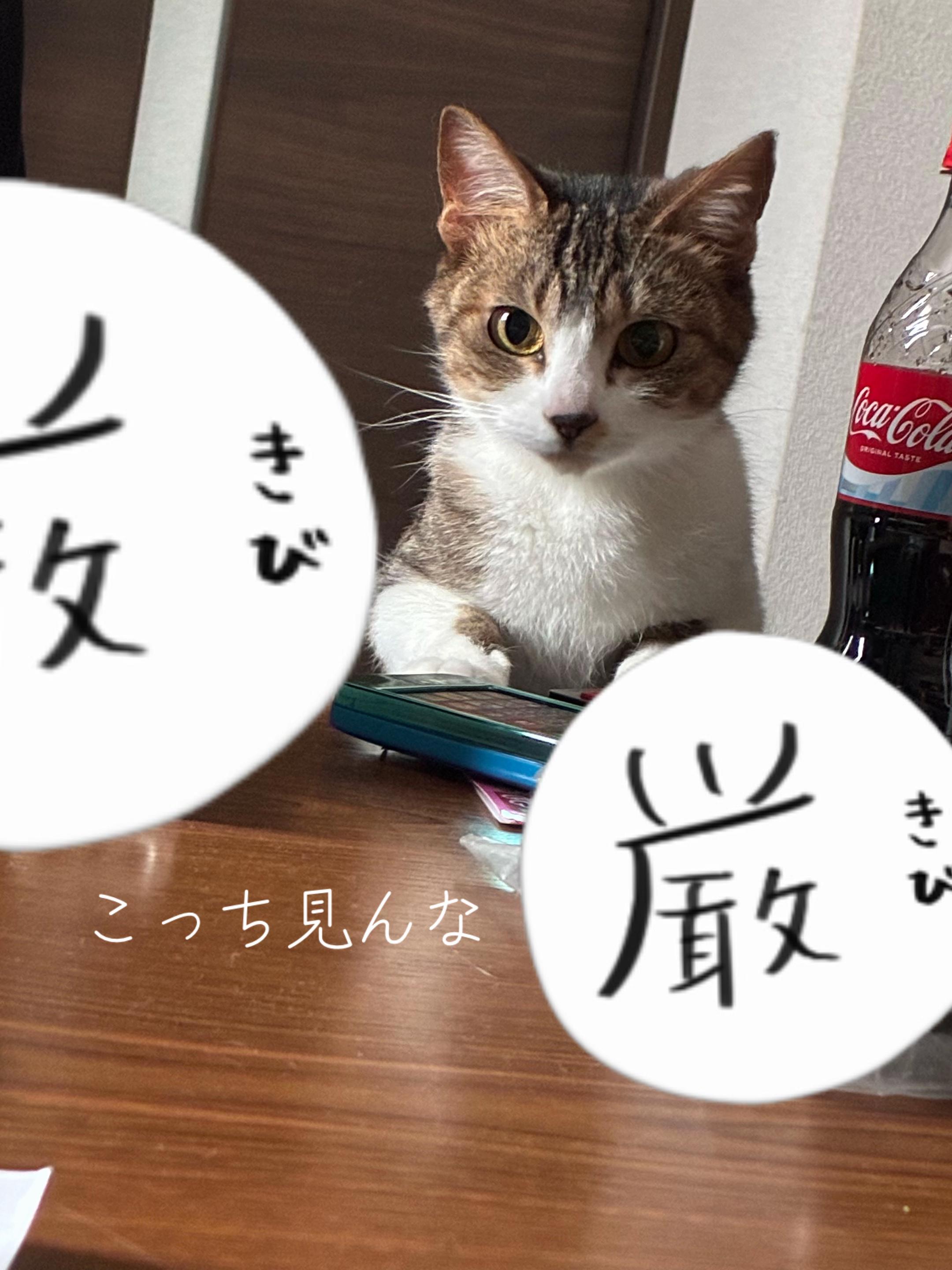 @れん
