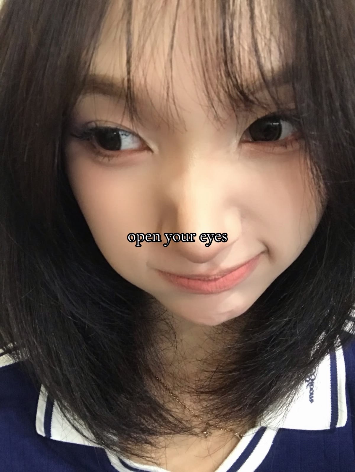 @meusfavifory⁶