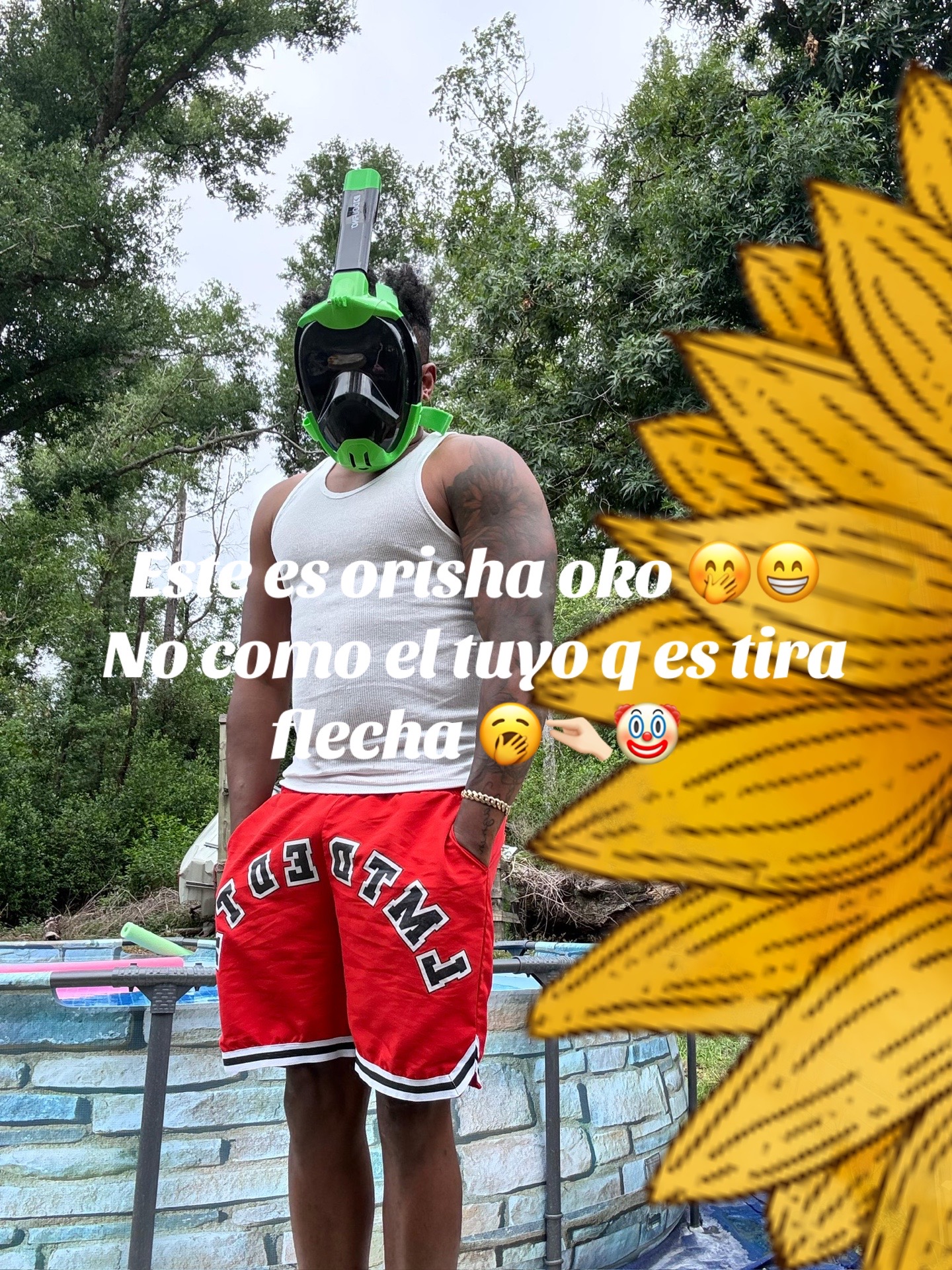 @Lacasadeeggun🤍🖤