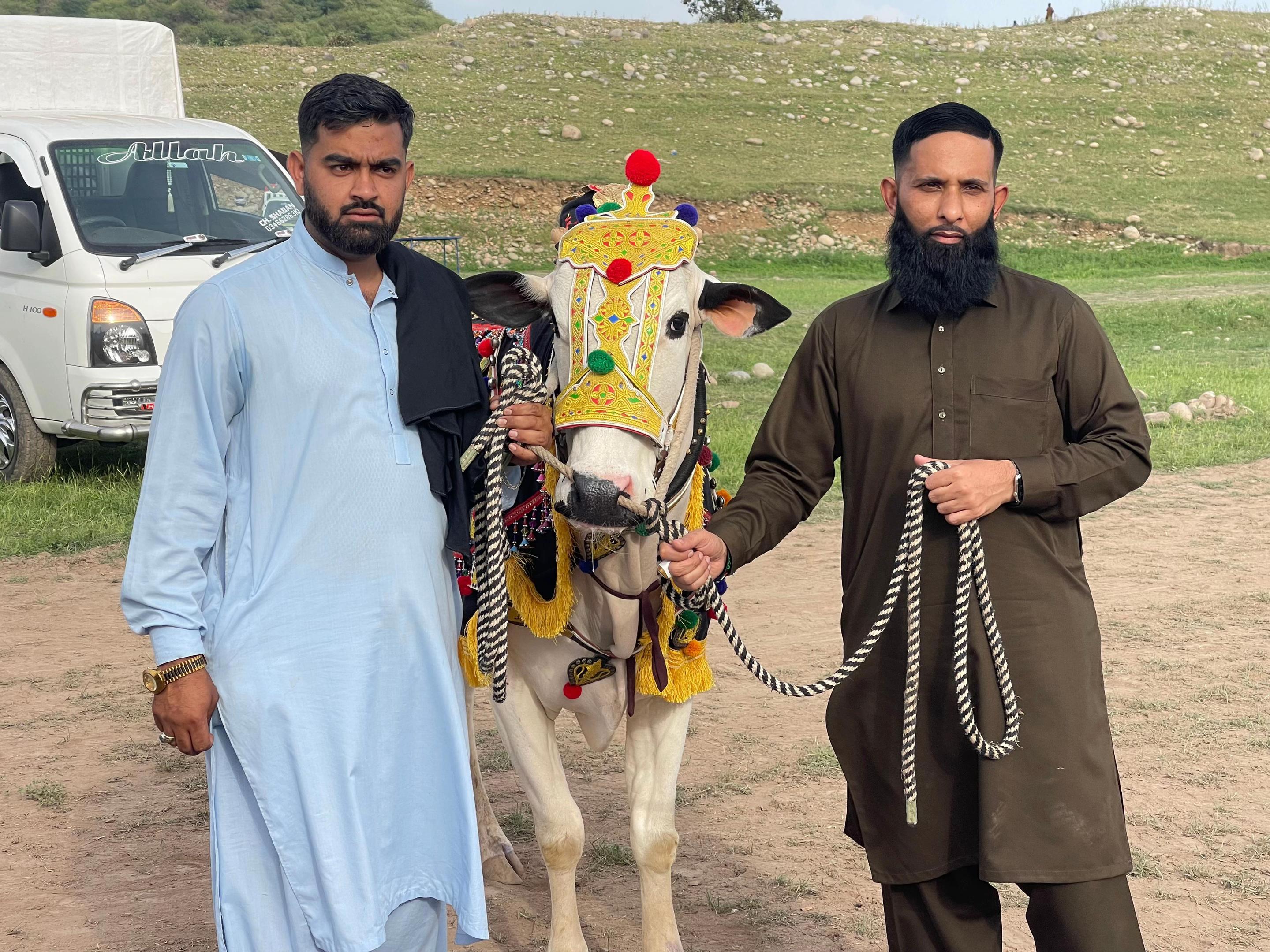 @Muhammad Imraz