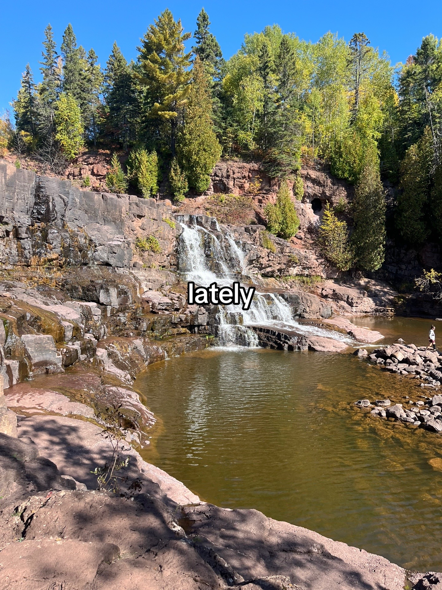 @tori
