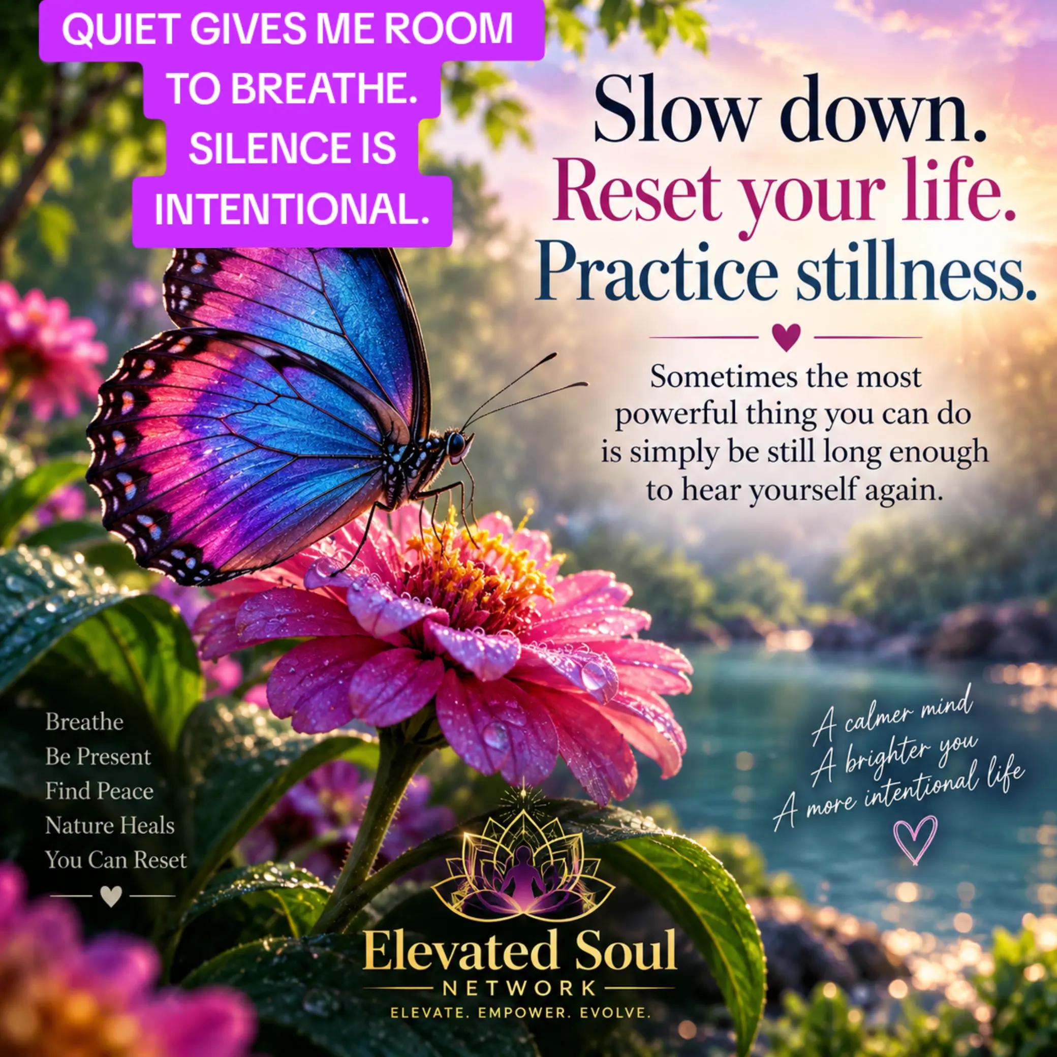 @Elevated Soul Network