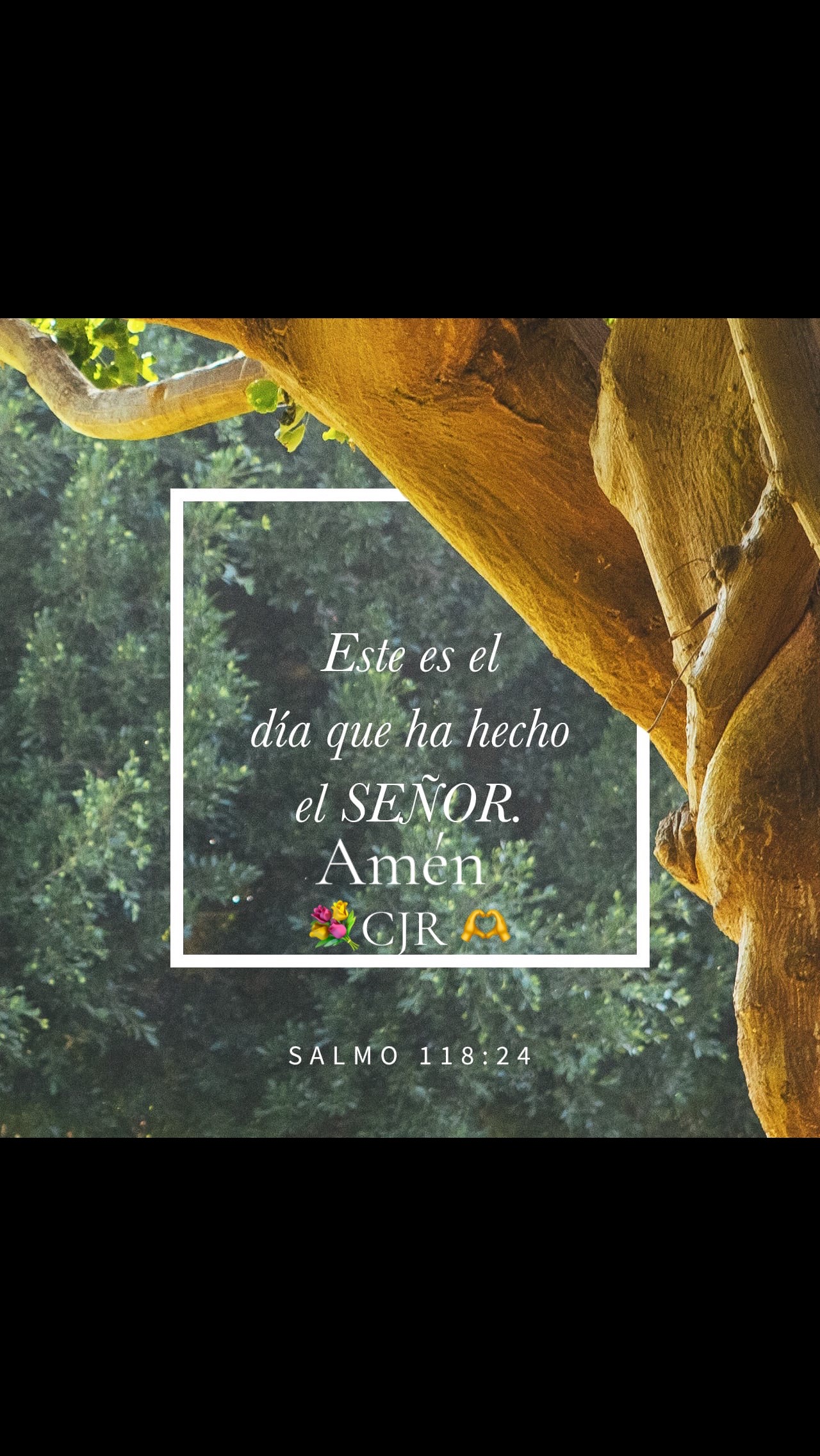 @𝓒𝓮𝓵𝓼𝓪🕊️