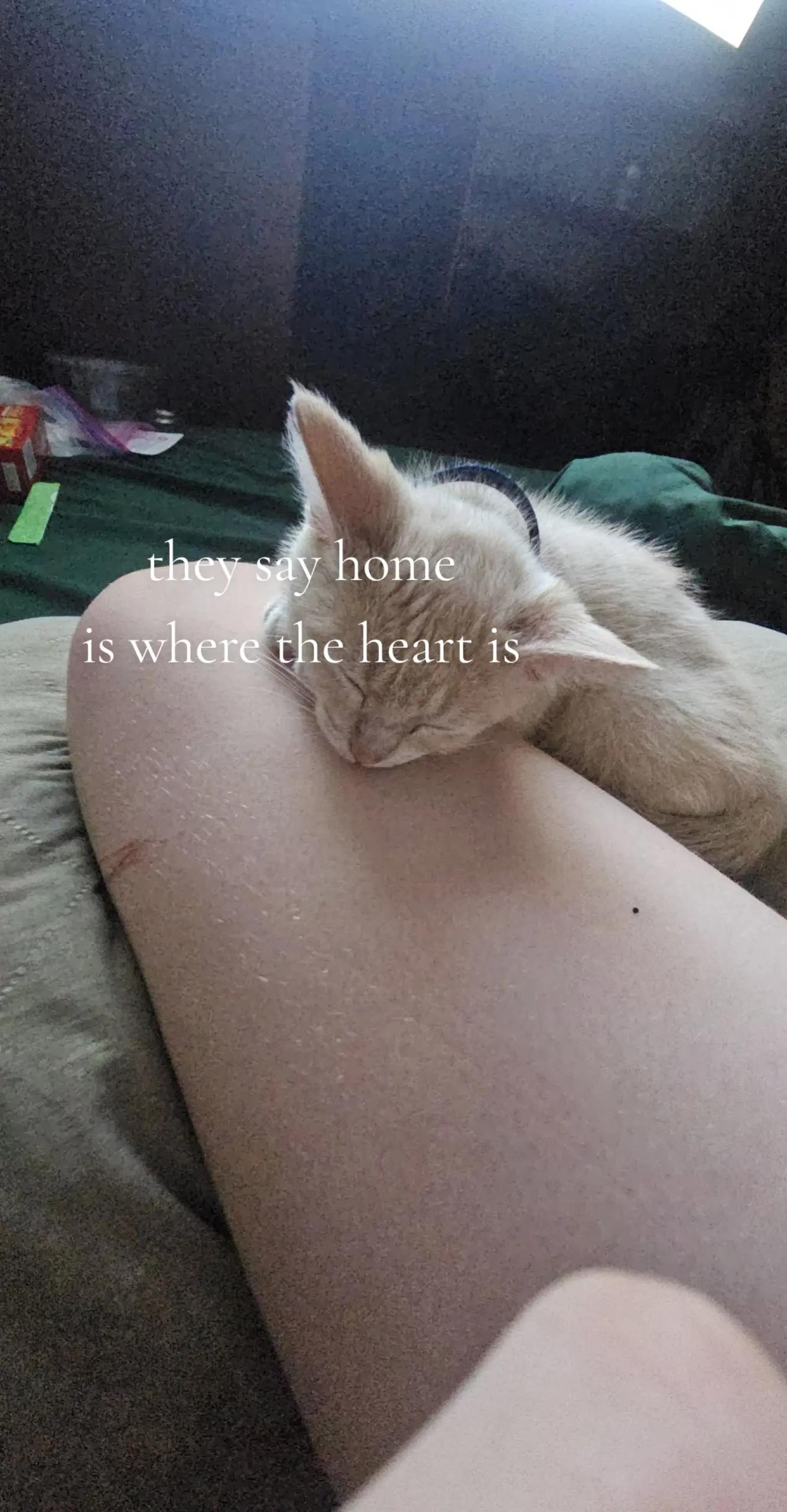 @𝐵𝑒𝑙𝑙𝑠🐾