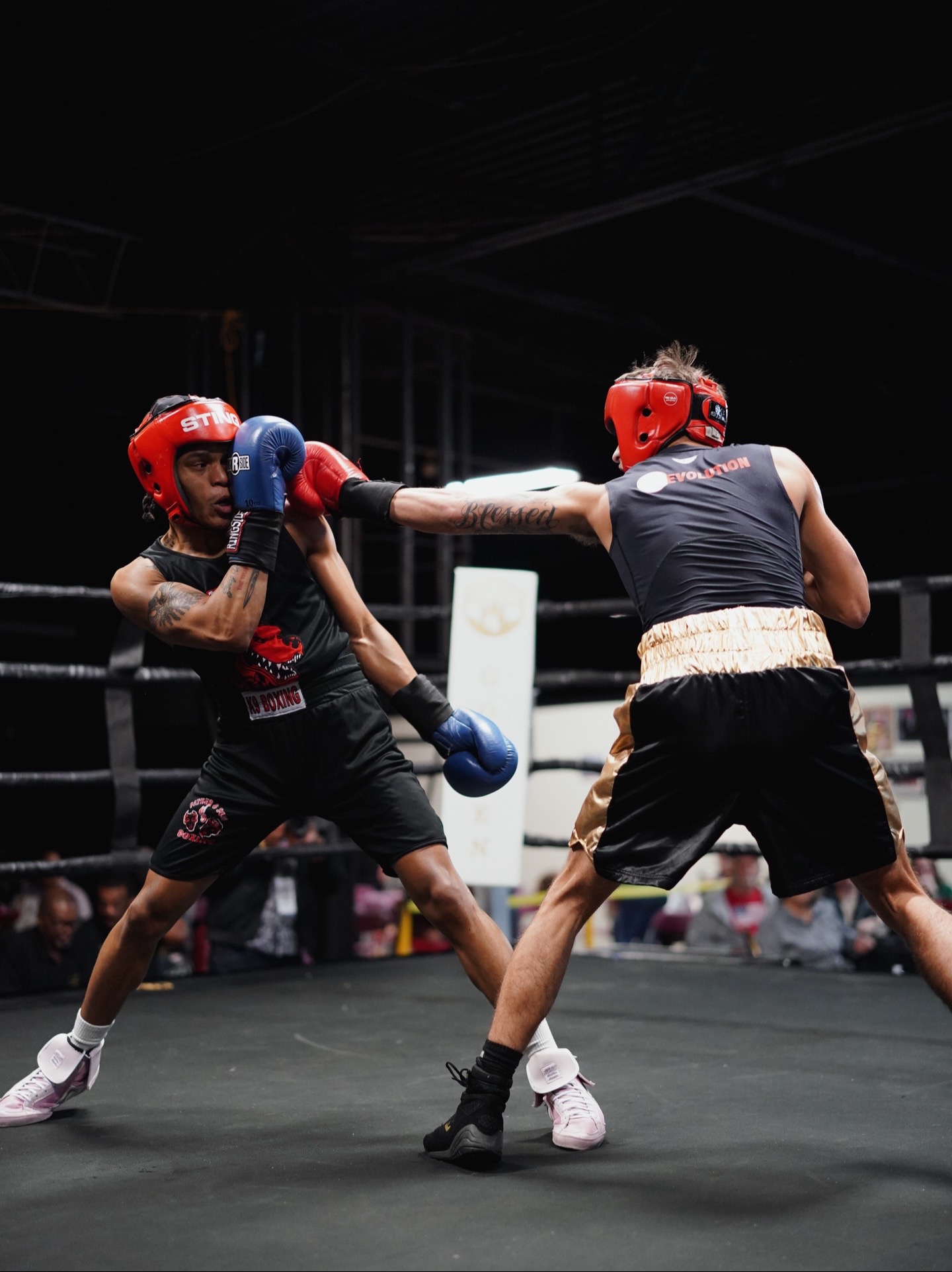 @Trail🥊ᖭི༏ᖫྀ