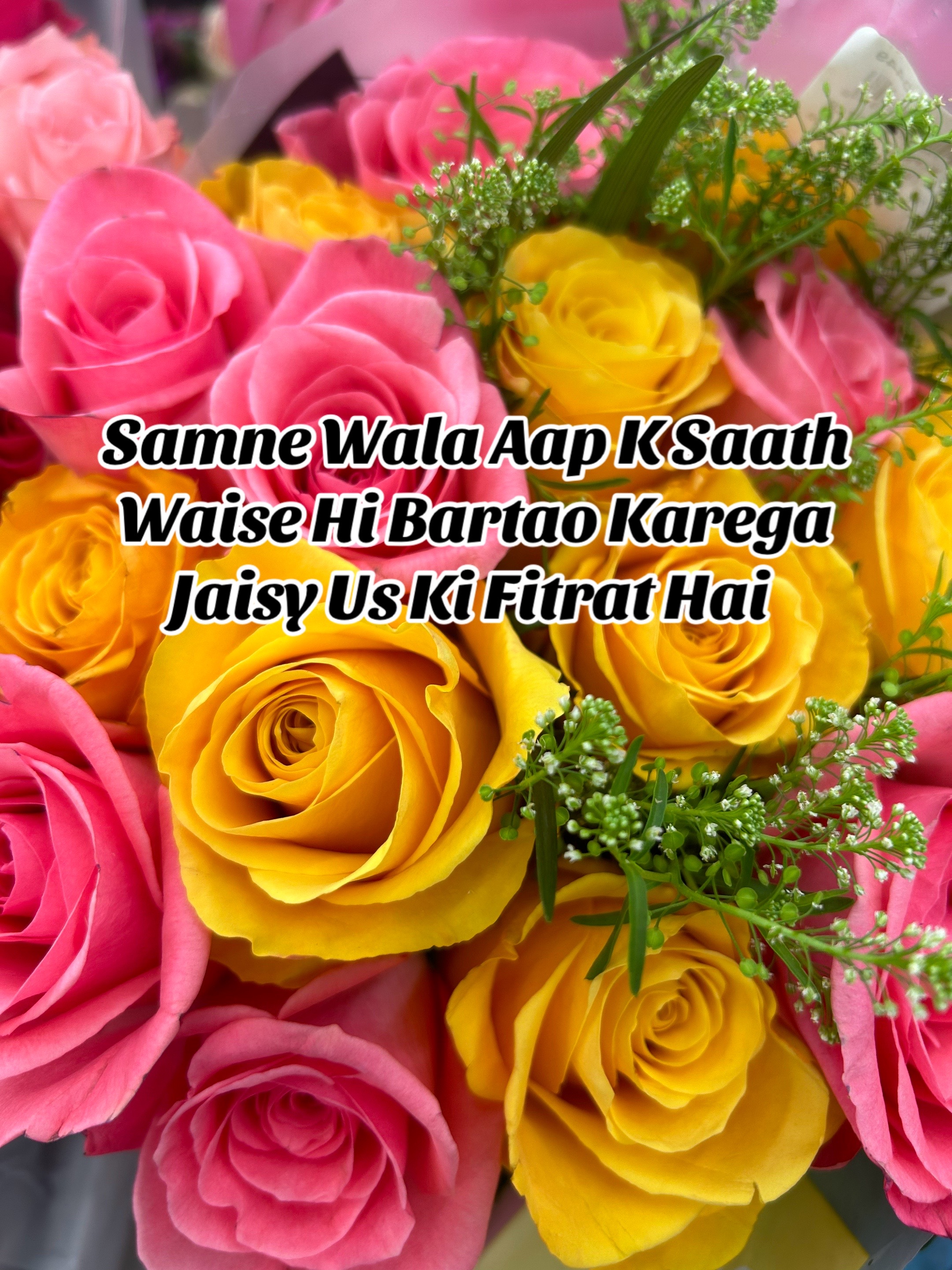 @ZaraHayat020104