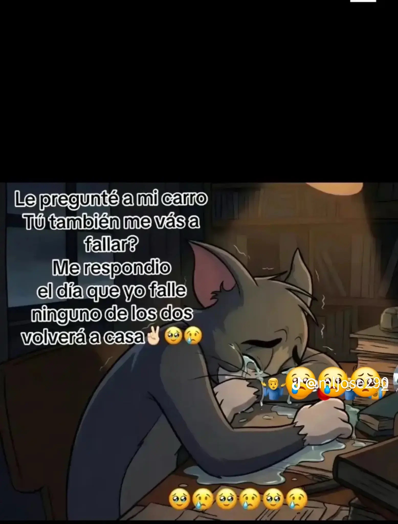 @comitéco