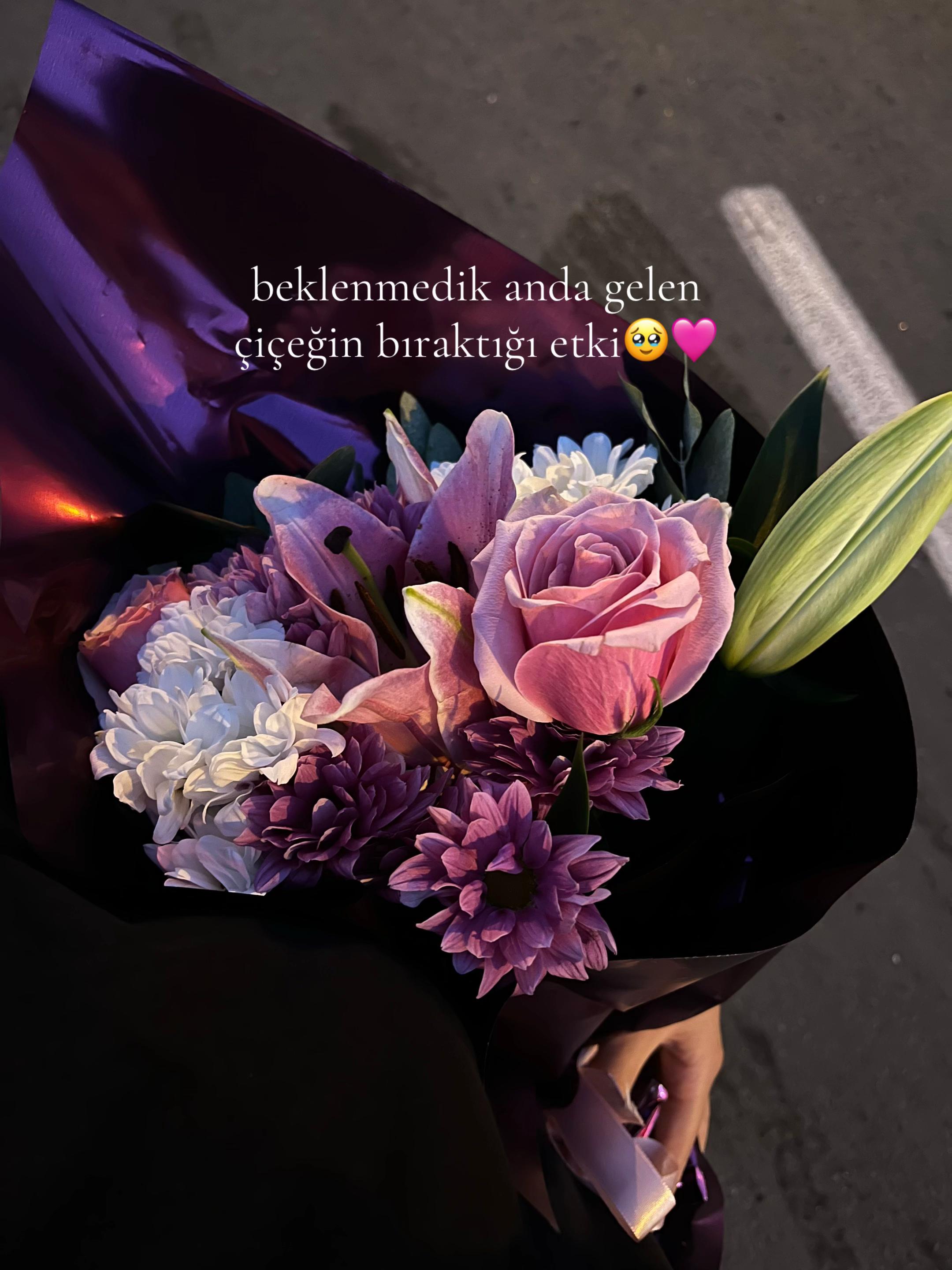 @sinem