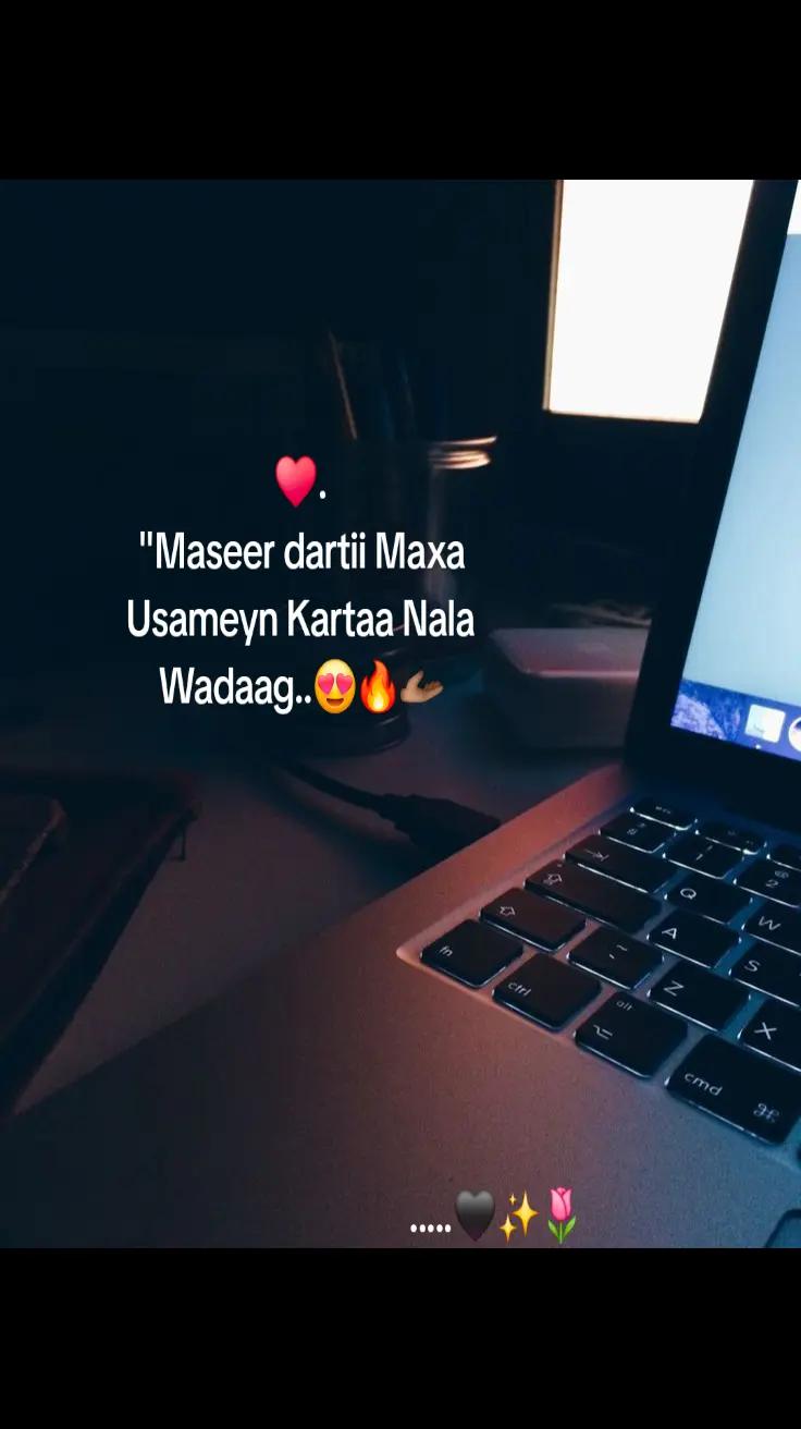 @MoHameTt🇩🇪