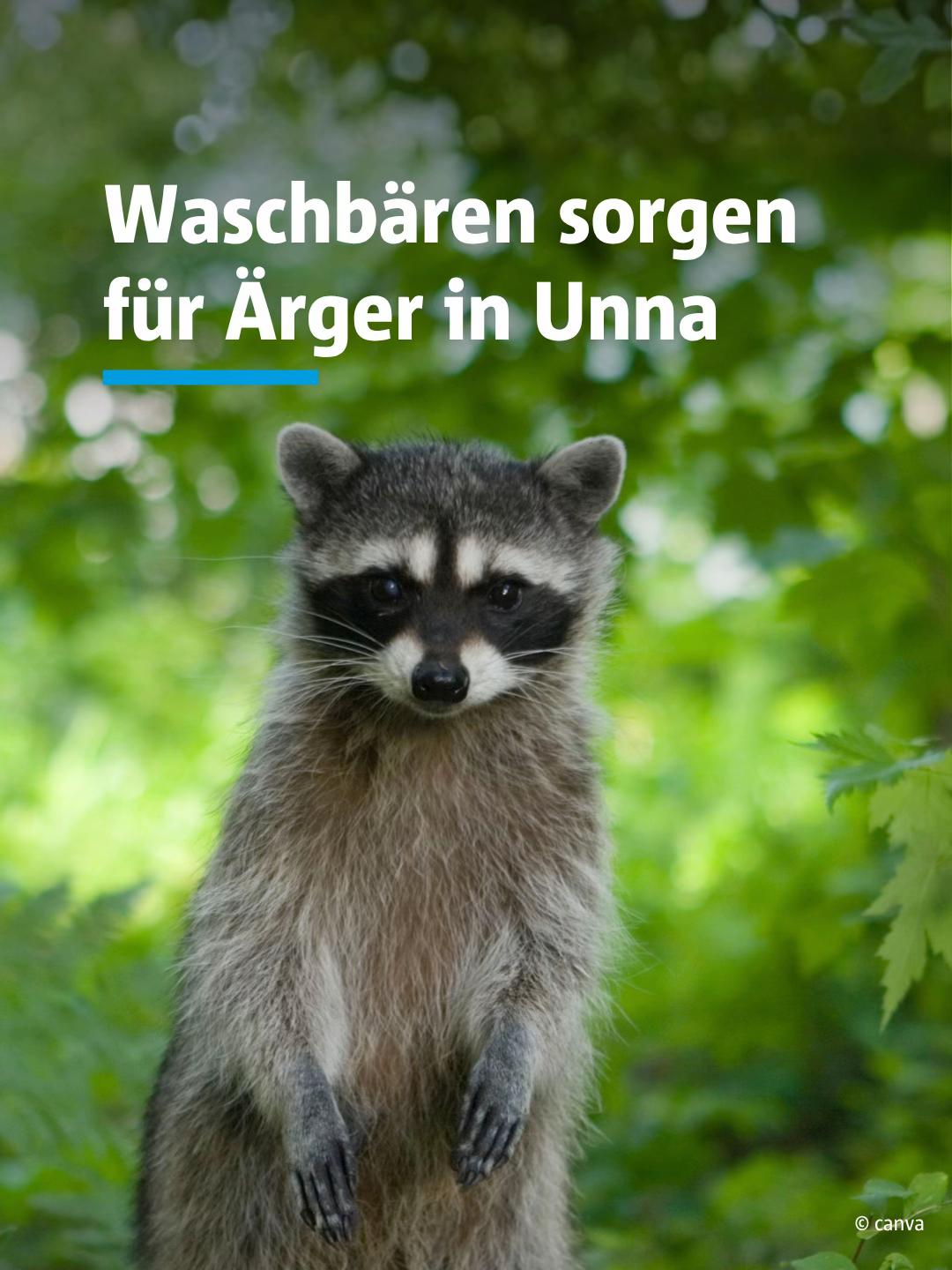 @Hellweger&ensp;Anzeiger