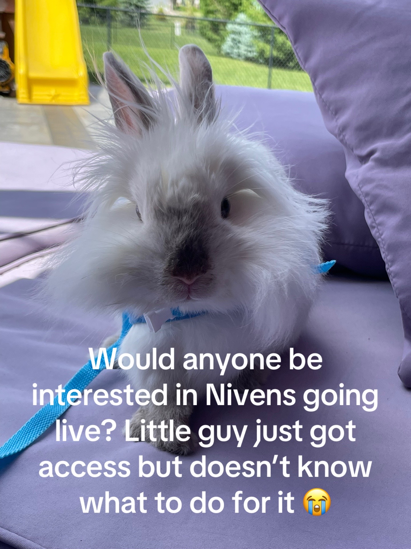 @NivensEats