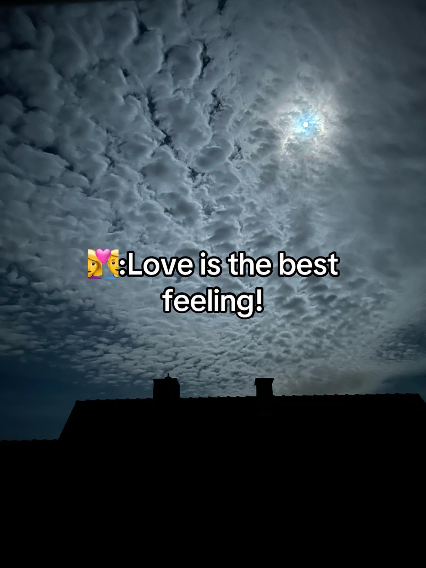 @ㅤㅤㅤㅤㅤㅤㅤㅤㅤㅤㅤ ِ