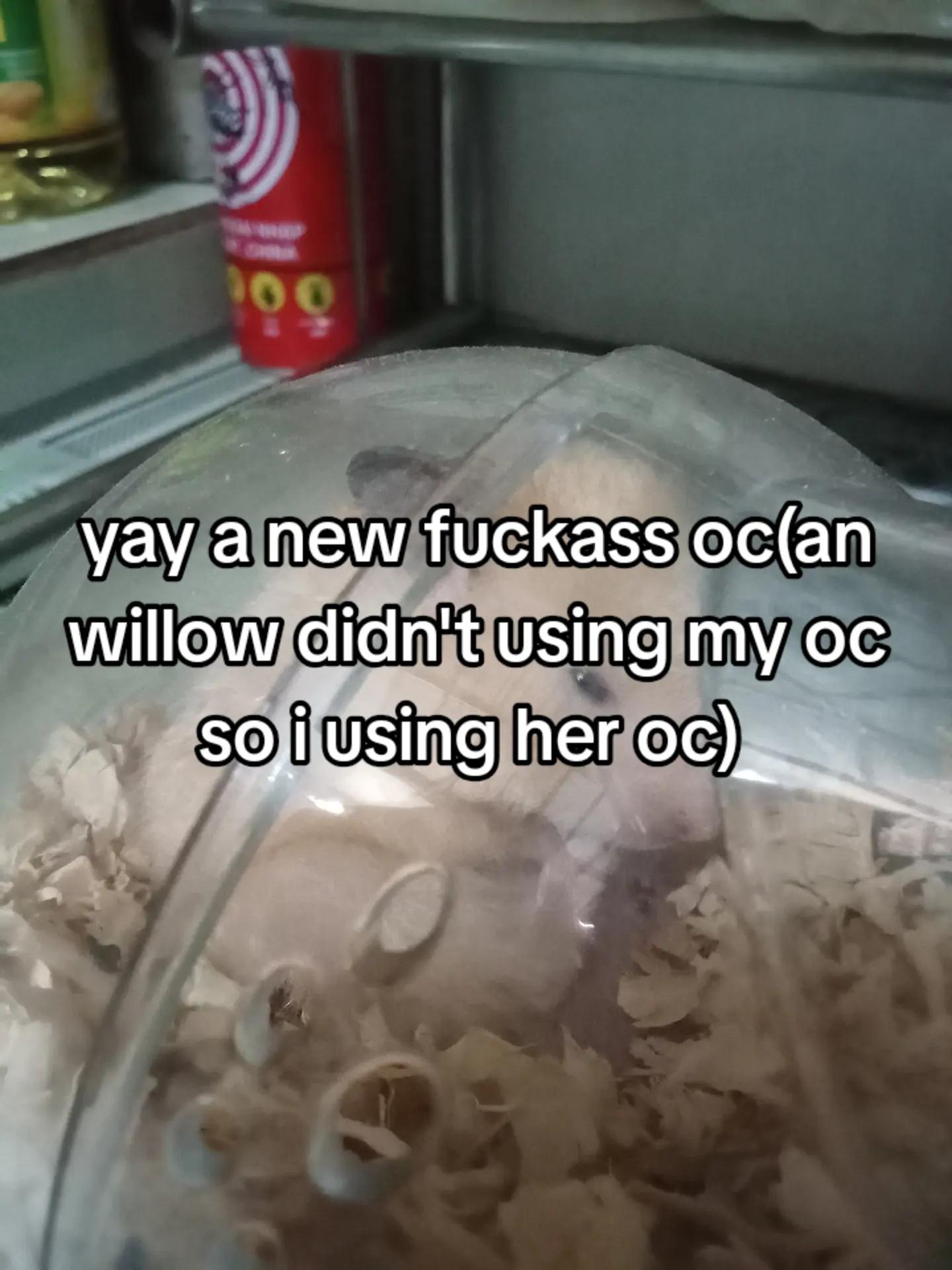 @✩{!𝓼𝓸𝓷𝓻𝓮𝓪𝓷!]✩