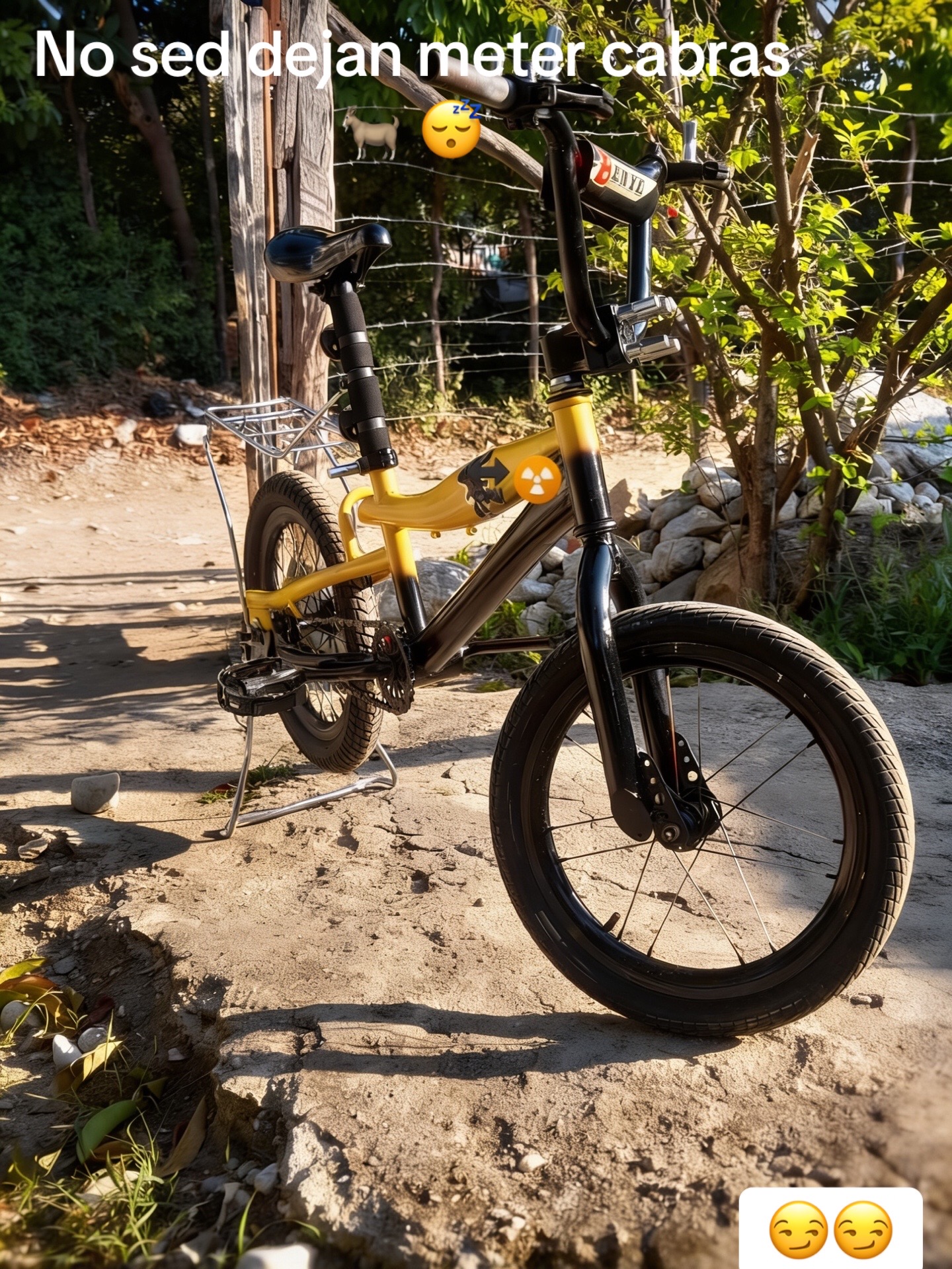 @Rolfhi☠️R1