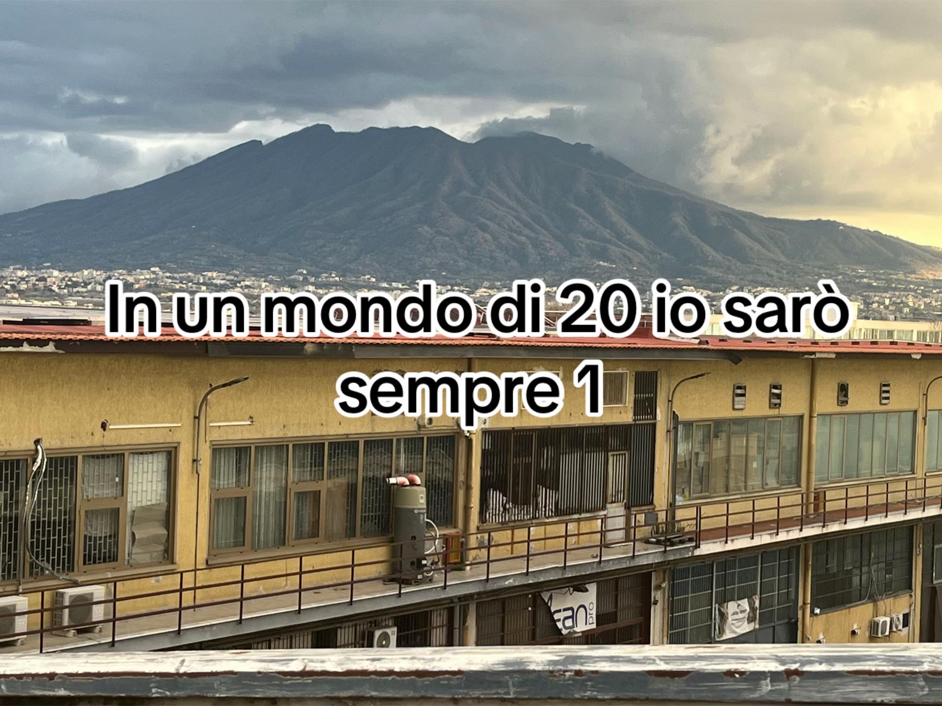 @dilorenzo223