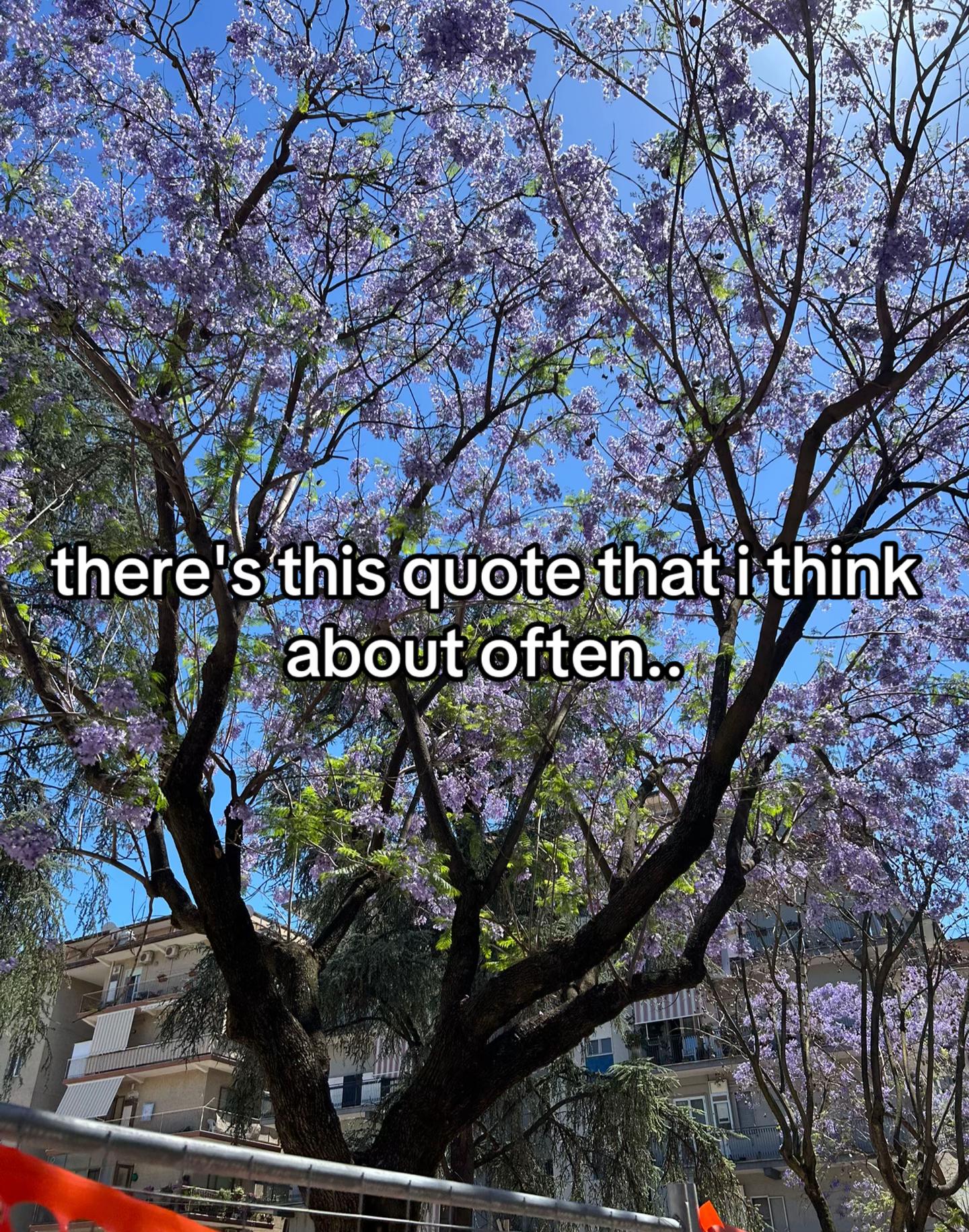 @fadedmoonlight