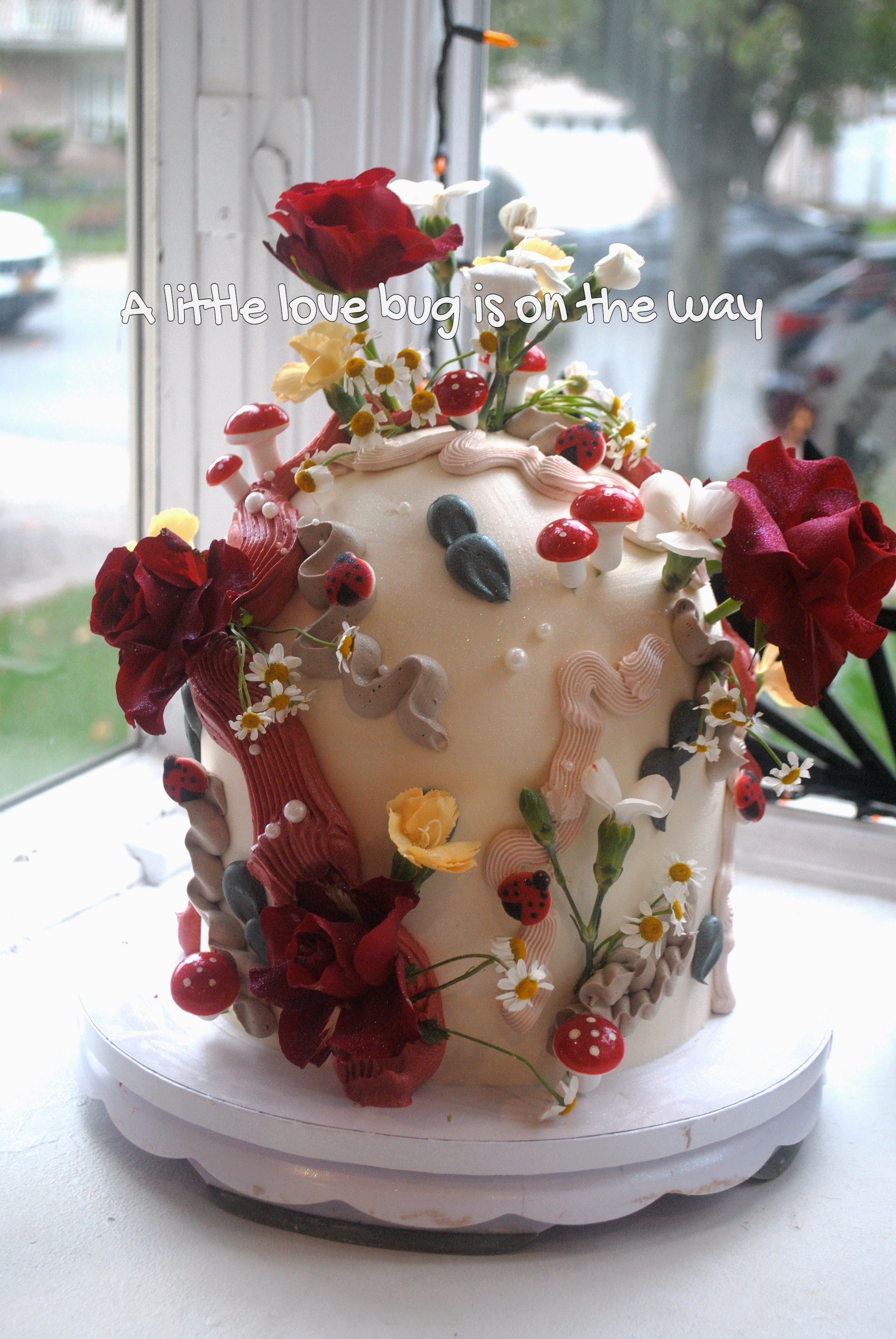 @sweet tooth cakery