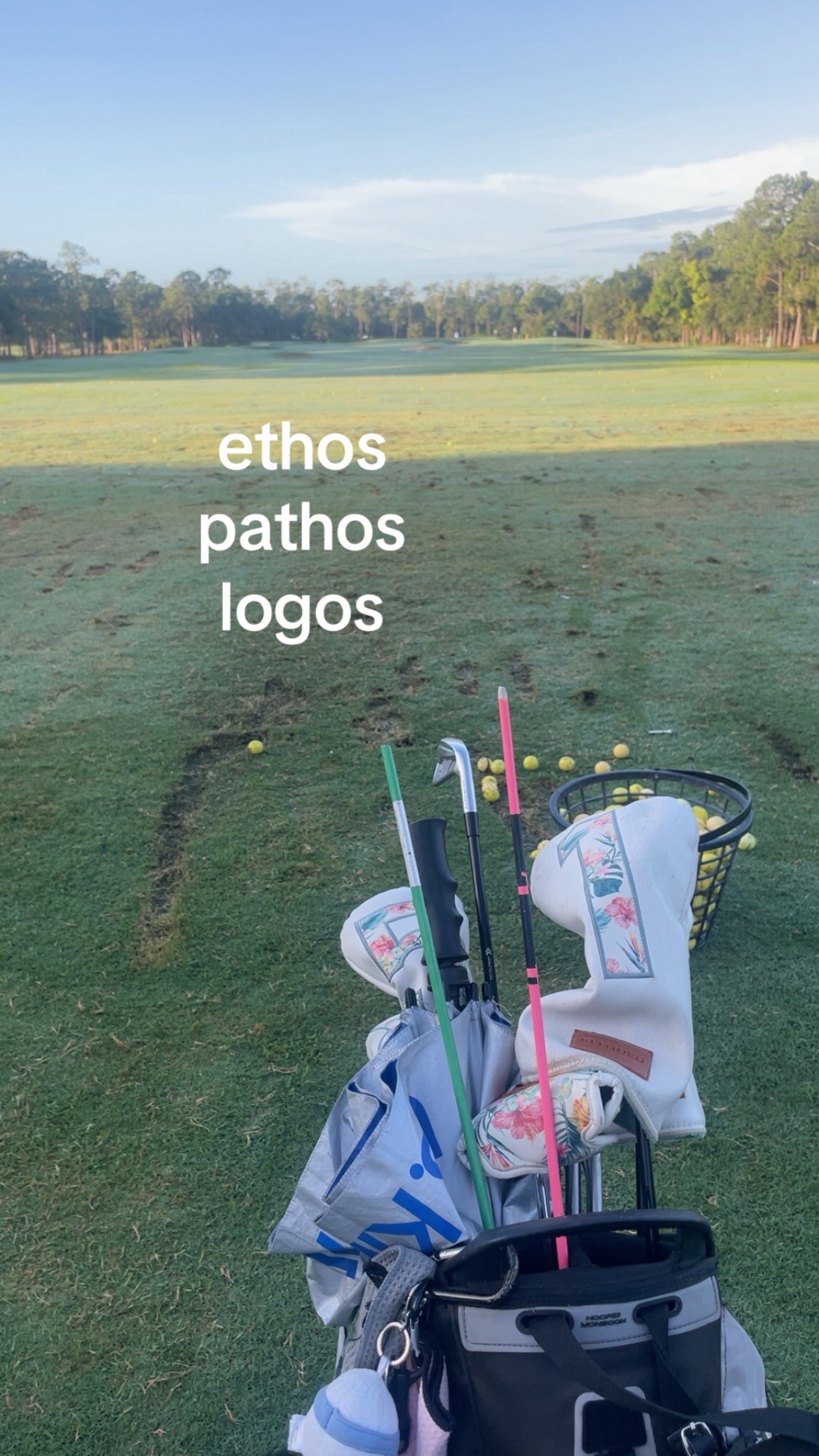 @HAZEL ⛳️