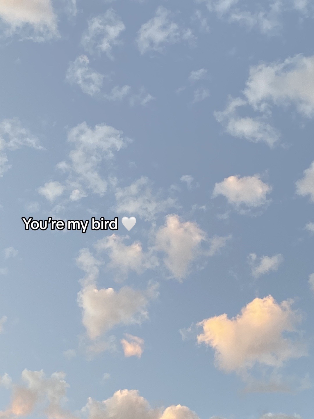 @❦
