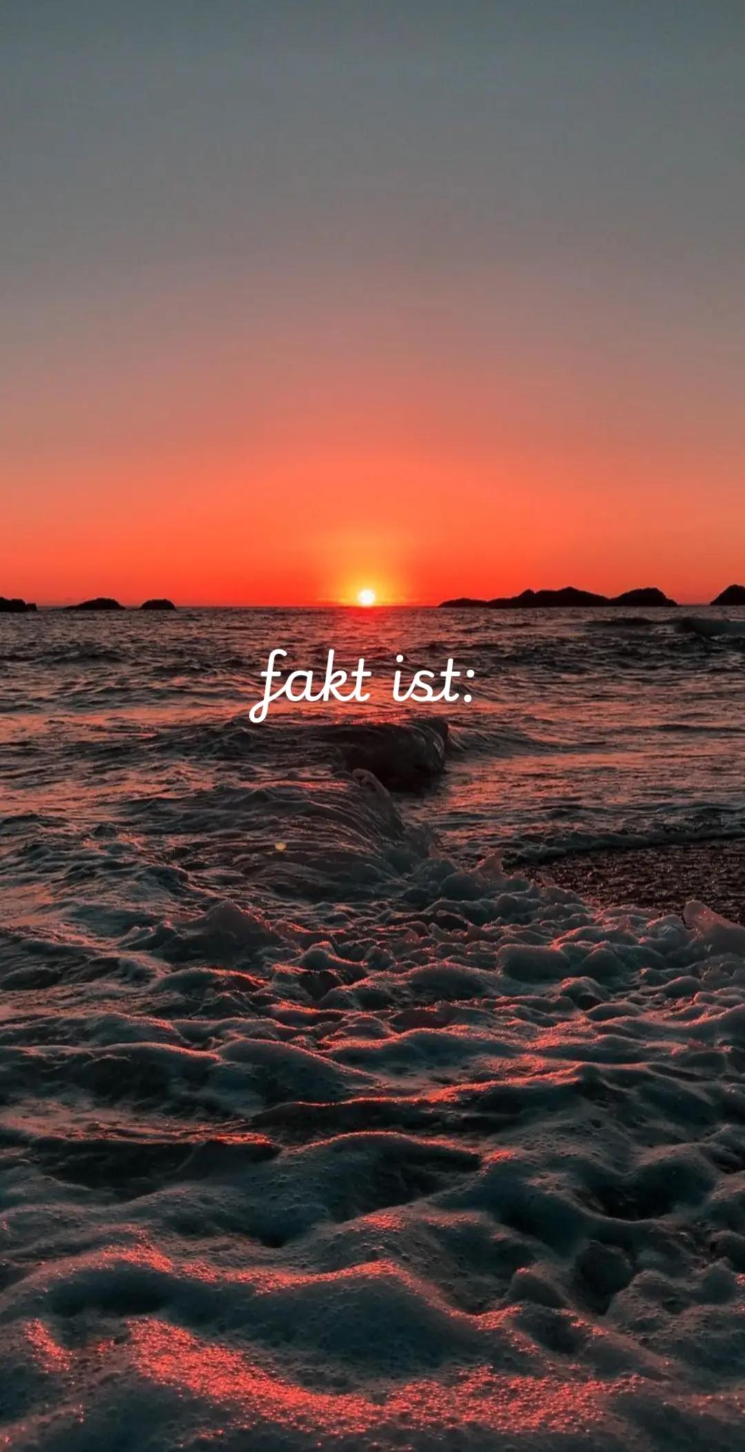 @Lena🌺🇩🇪
